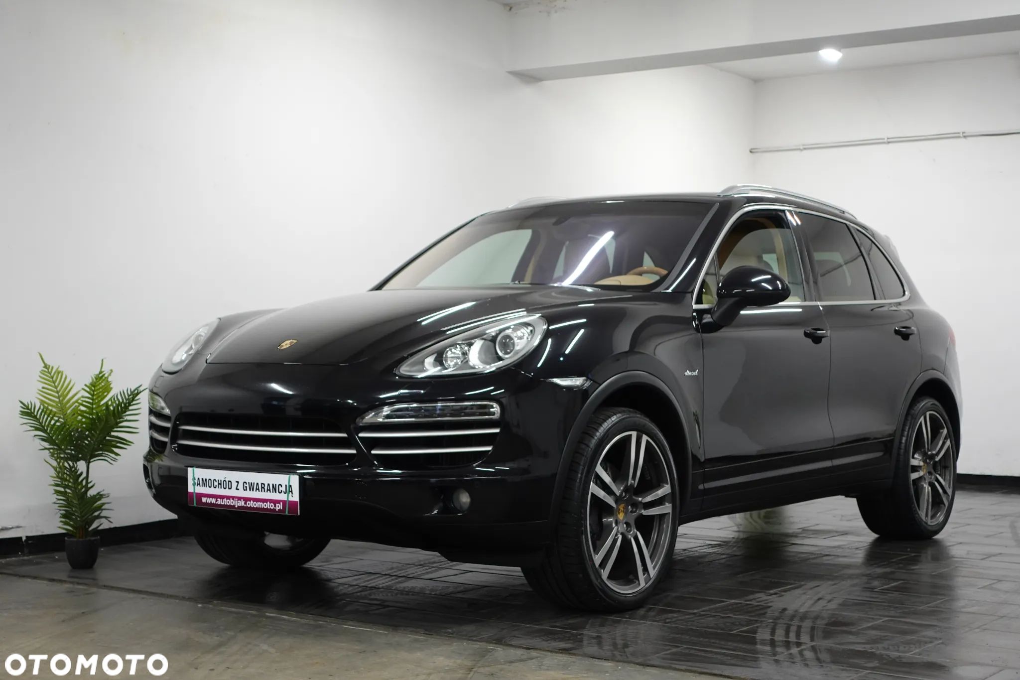 Porsche Cayenne Diesel Platinum Edition - 1