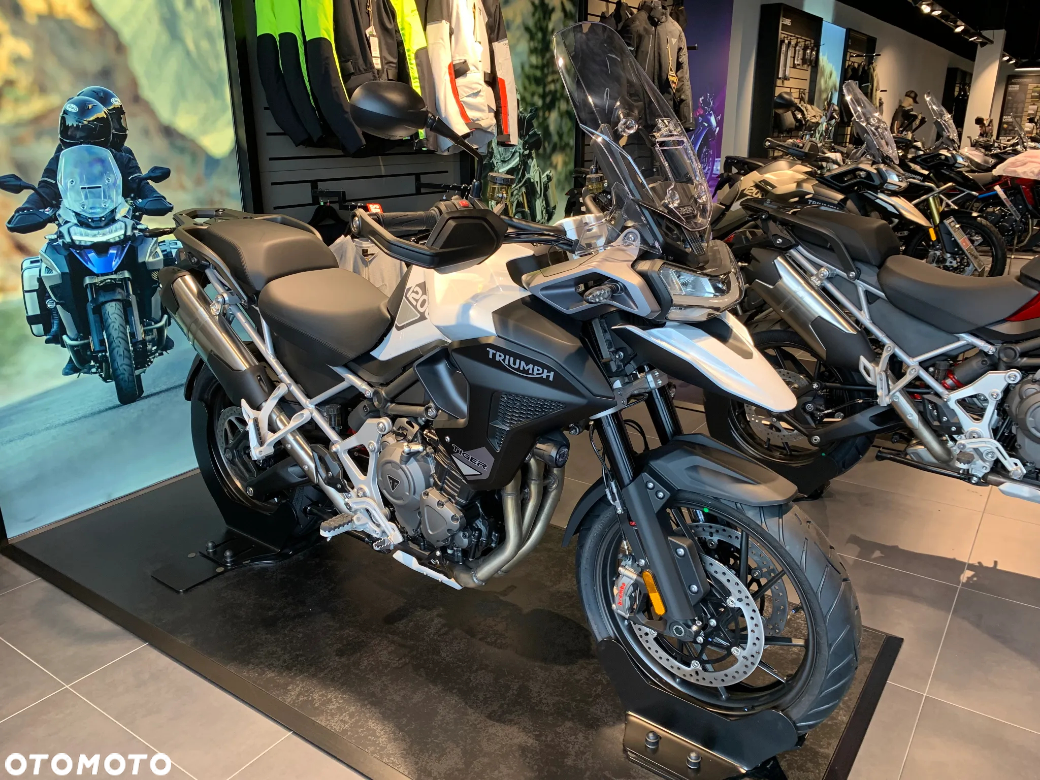 Triumph Tiger