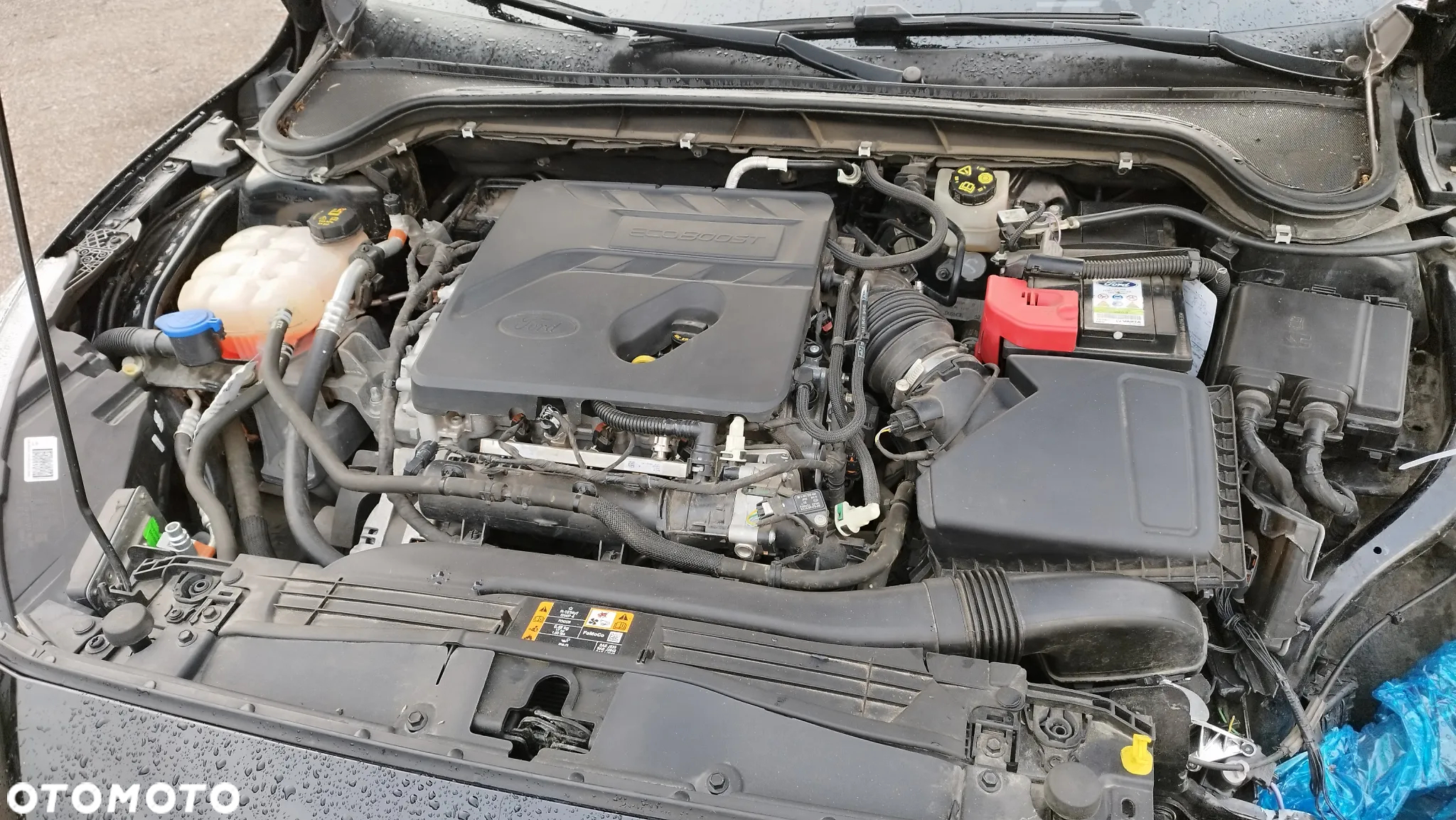 Ford Focus 1.5 EcoBoost ST-Line Black ASS - 12