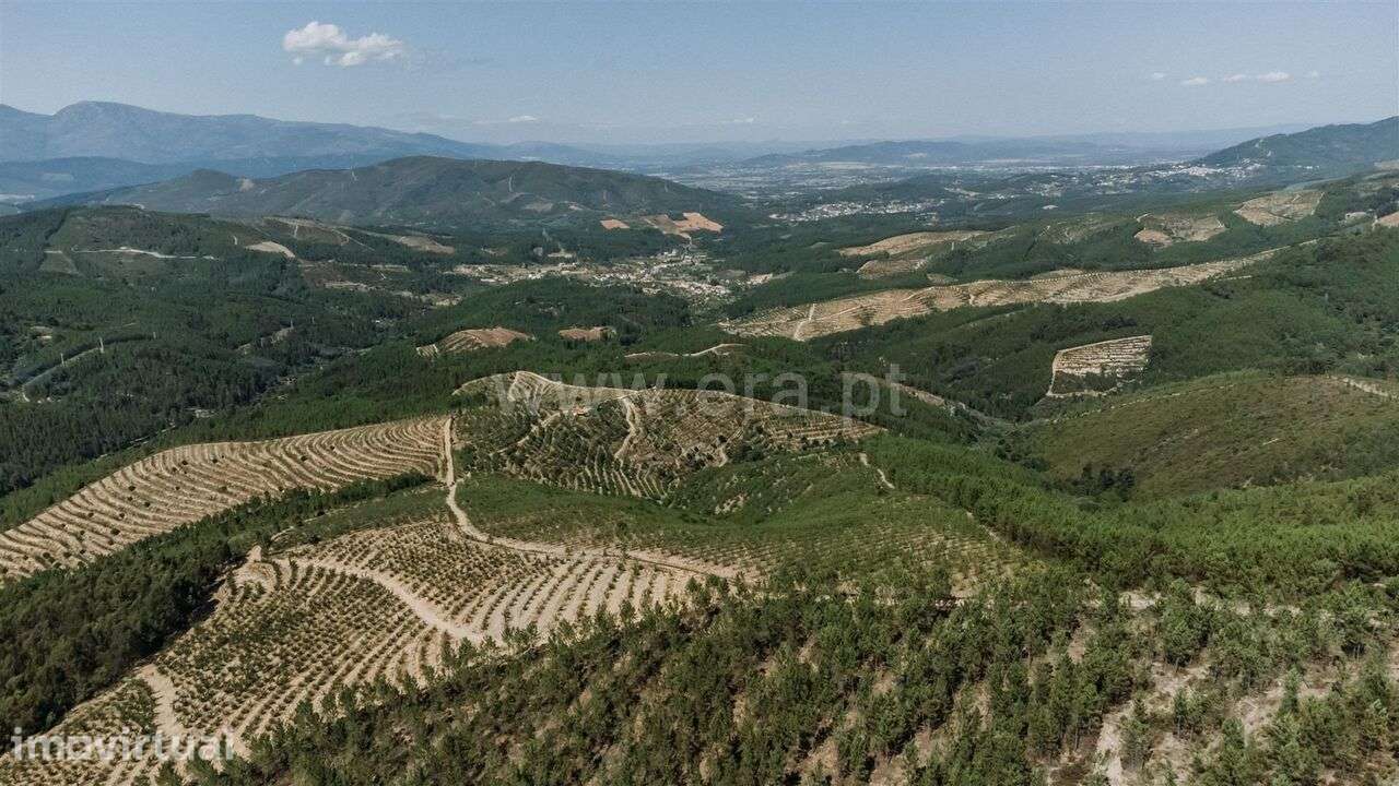 Terreno / Fundão, Castelejo - Grande imagem: 5/11