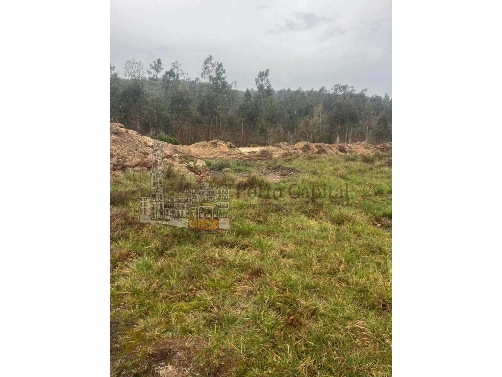 EXCELENTE TERRENO COM 6000m2 - Grande imagem: 2/34
