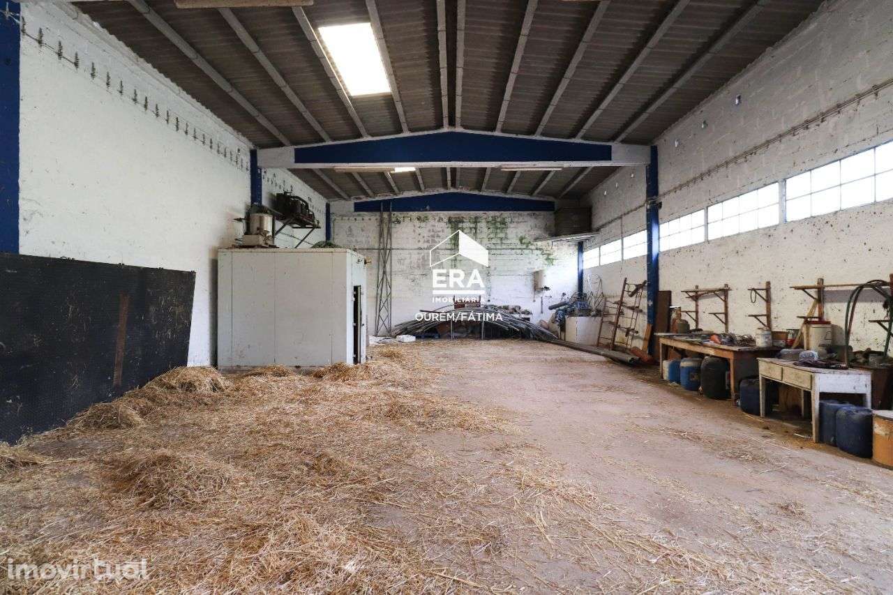 Armazém de aquacultura localizado em Redinha, Pombal - Grande imagem: 3/41