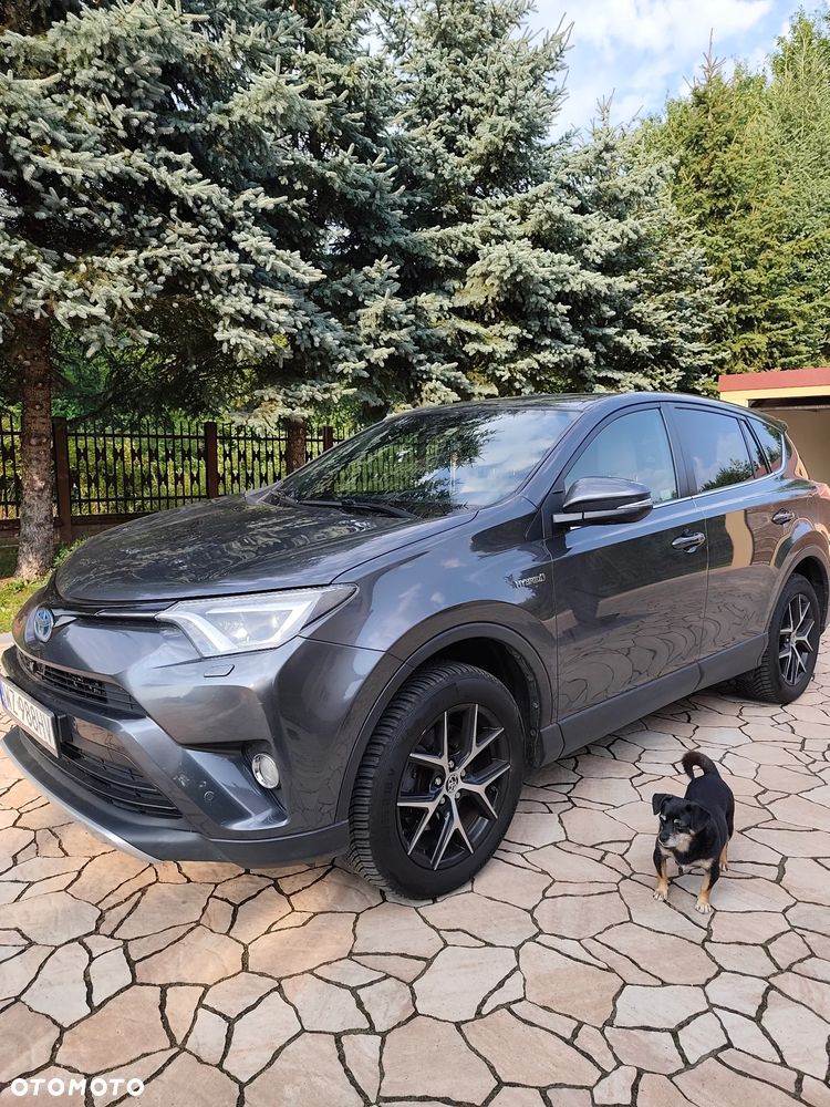 Toyota RAV4 Hybrid Prestige 4x4 - 2