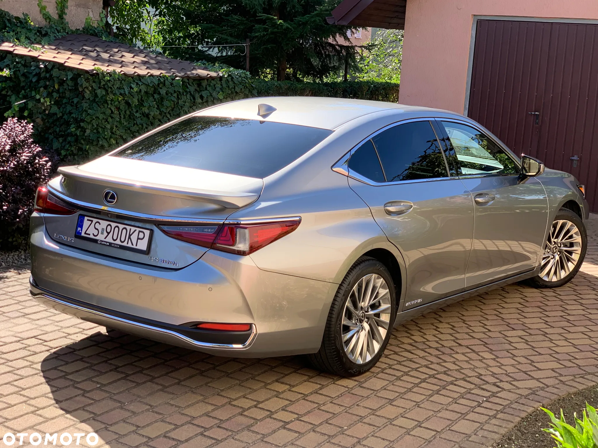 Lexus ES 300h Omotenashi - 6