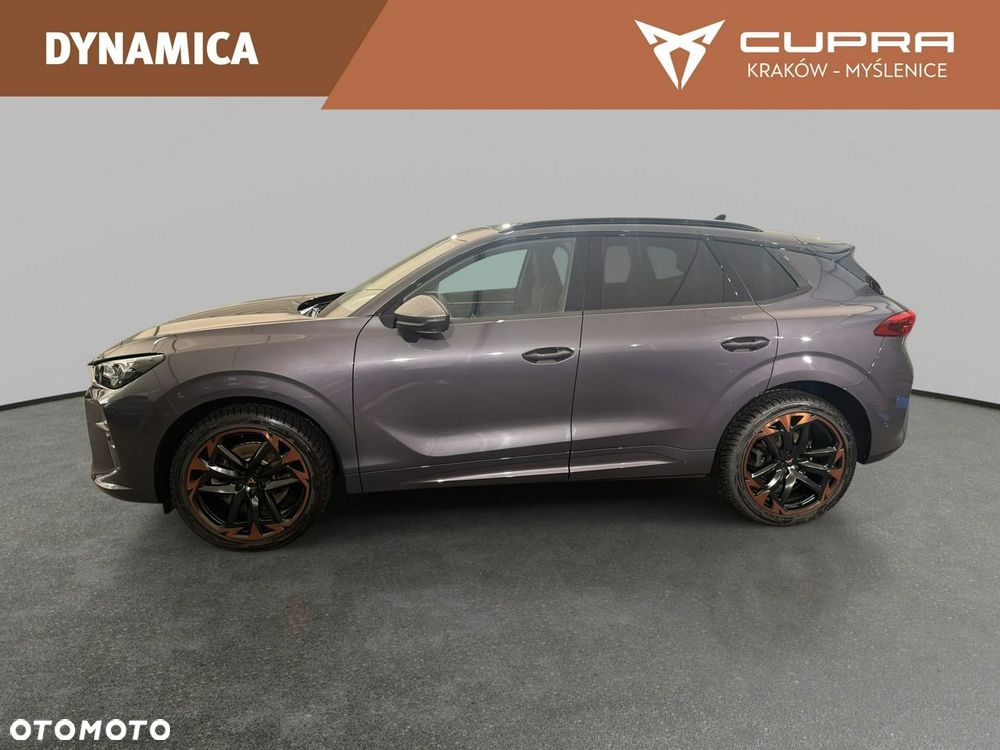 Cupra Terramar - 10