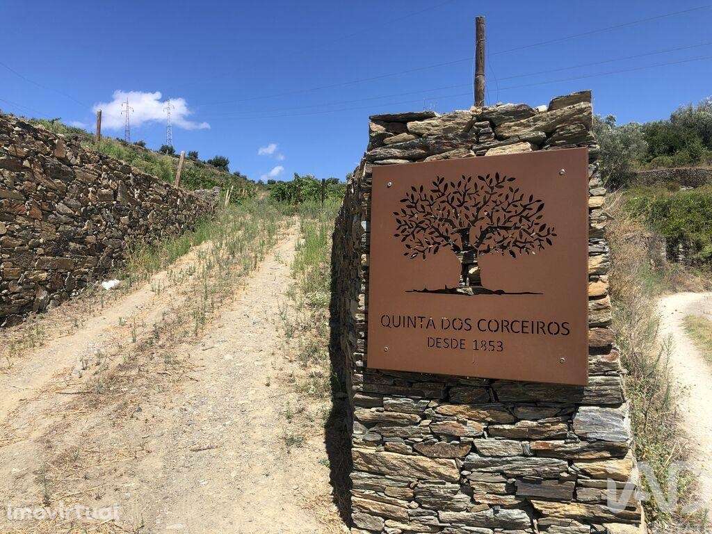 Casa de Campo T4 em Peso da Régua e Godim de 343,00 m2 - Grande imagem: 5/25