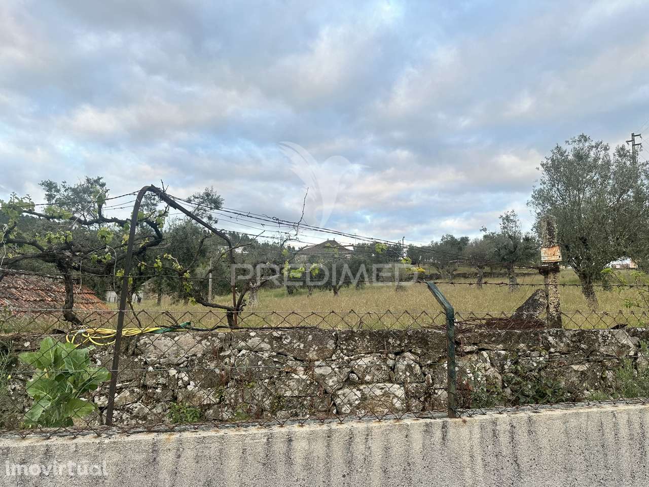 Moradia para restauro com 8.884m2 de terreno - Grande imagem: 4/11