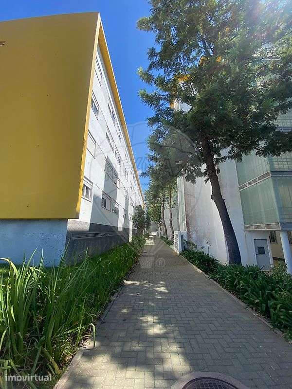 Apartamento T2 para arrendamento - Grande imagem: 2/22