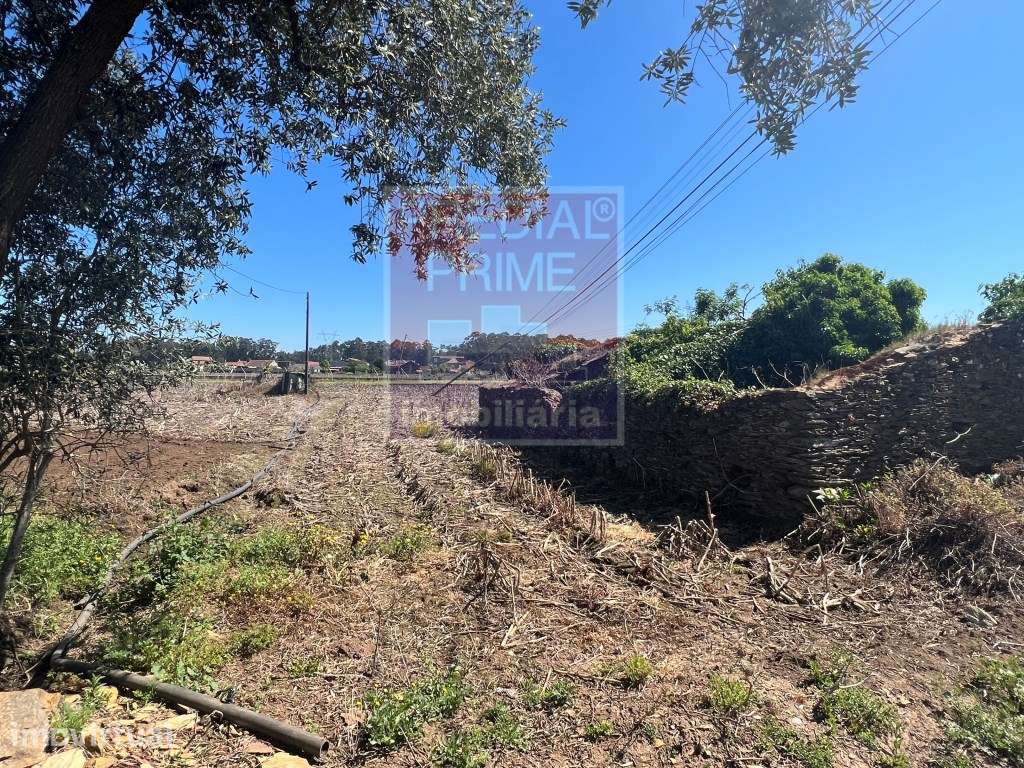 Terreno para construção em Loureiro - Oliveira de Azeméis - Grande imagem: 3/3