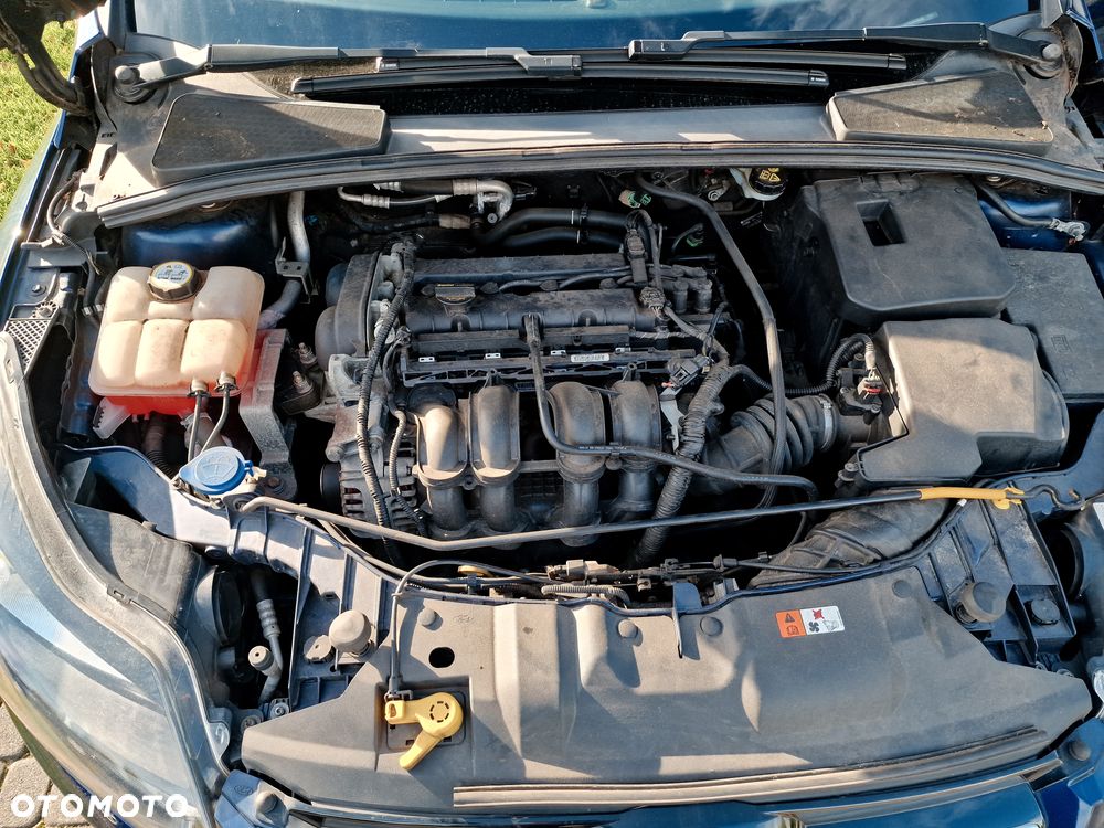 Ford Focus 1.6 TI-VCT Titanium - 21