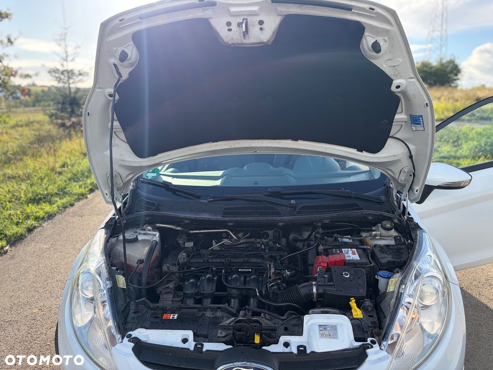 Ford Fiesta - 21