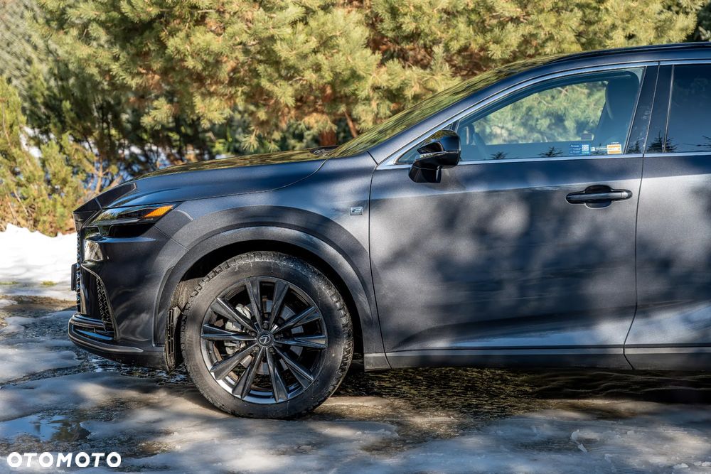 Lexus RX 350h F Sport Design - 16