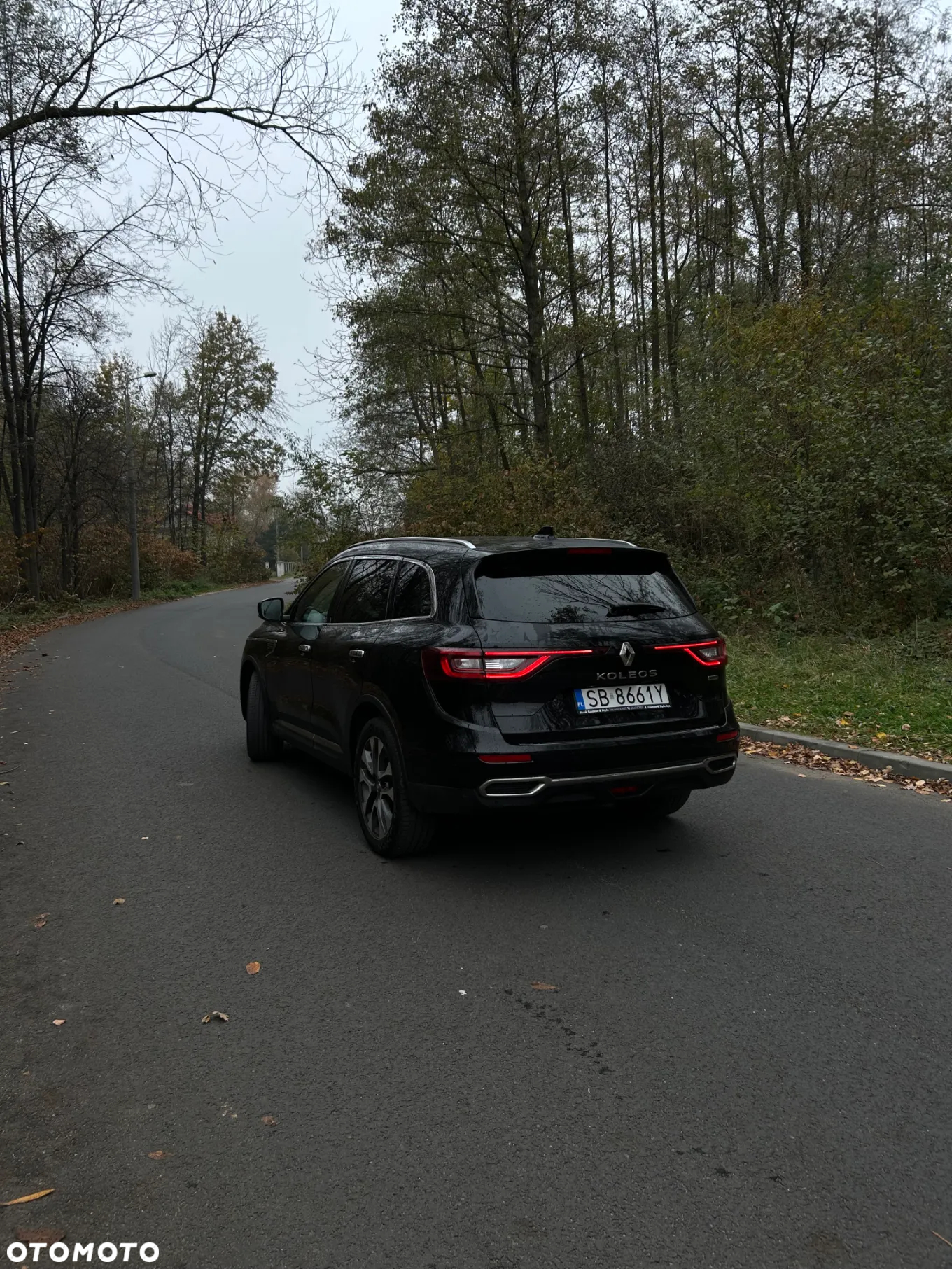 Renault Koleos 2.0 dCi Intens 4x4 X-Tronic - 6