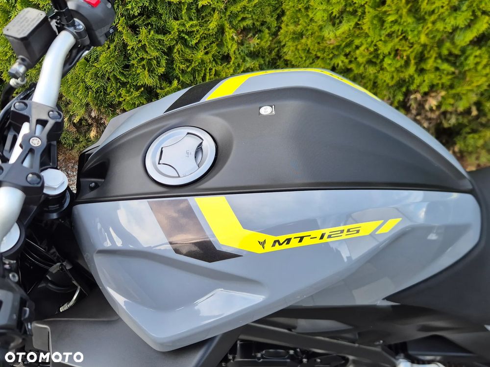Yamaha MT - 19