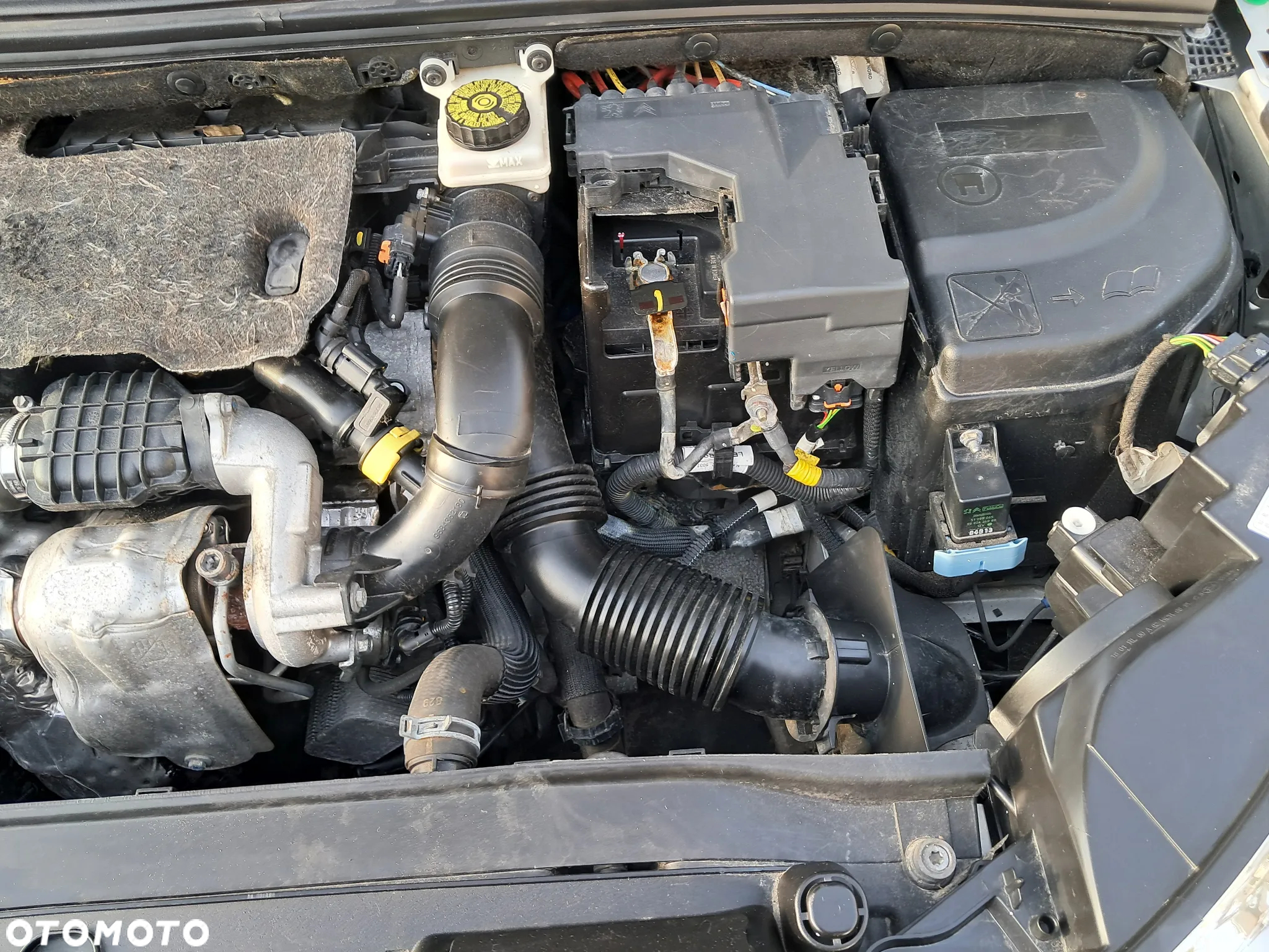 Citroën C4 HDi 115 Exclusive - 10
