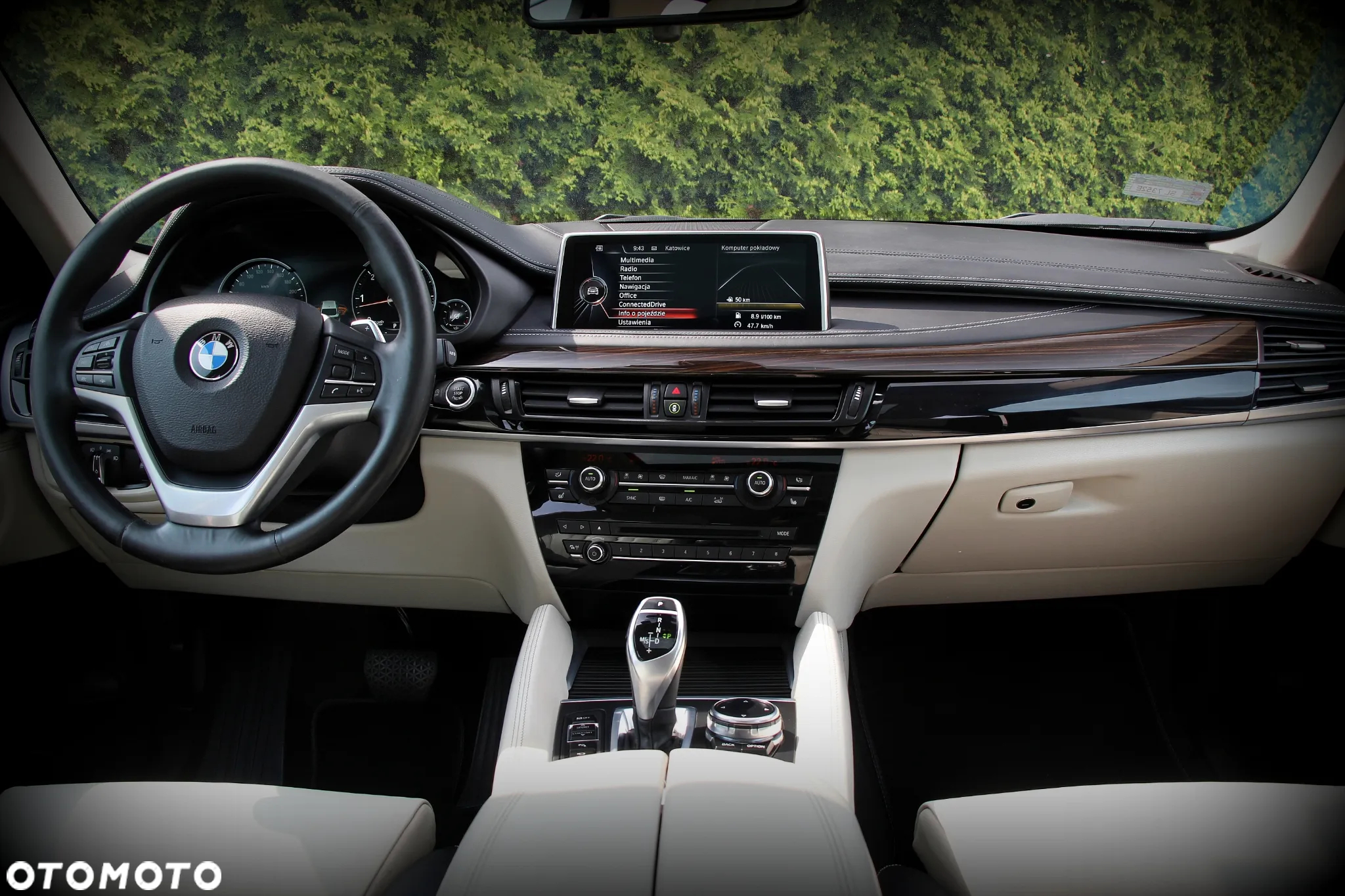 BMW X6 xDrive30d - 19