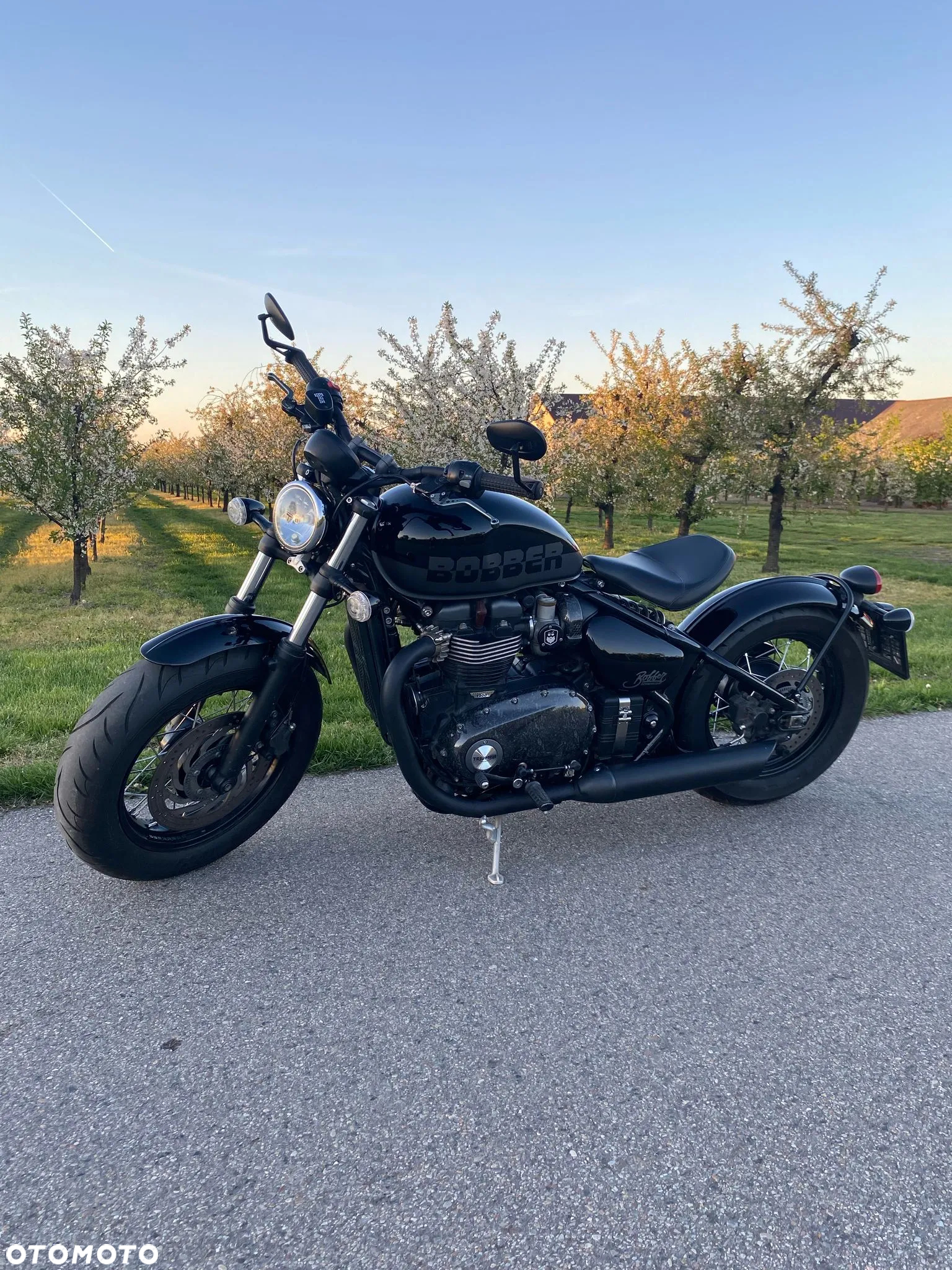 Triumph Bonneville Bobber - 18