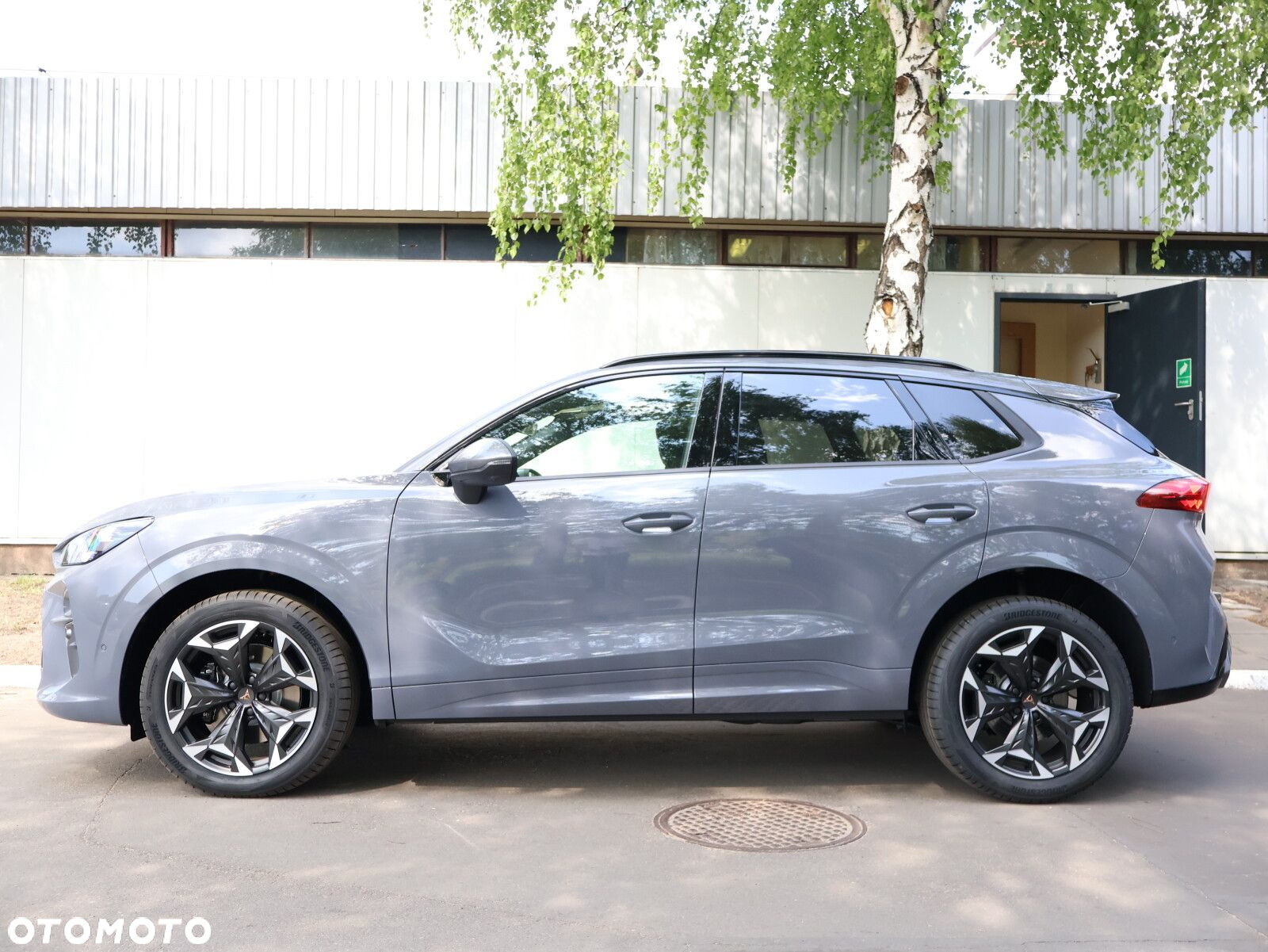 Cupra Terramar 2.0 TSI 4Drive VZ DSG - 5