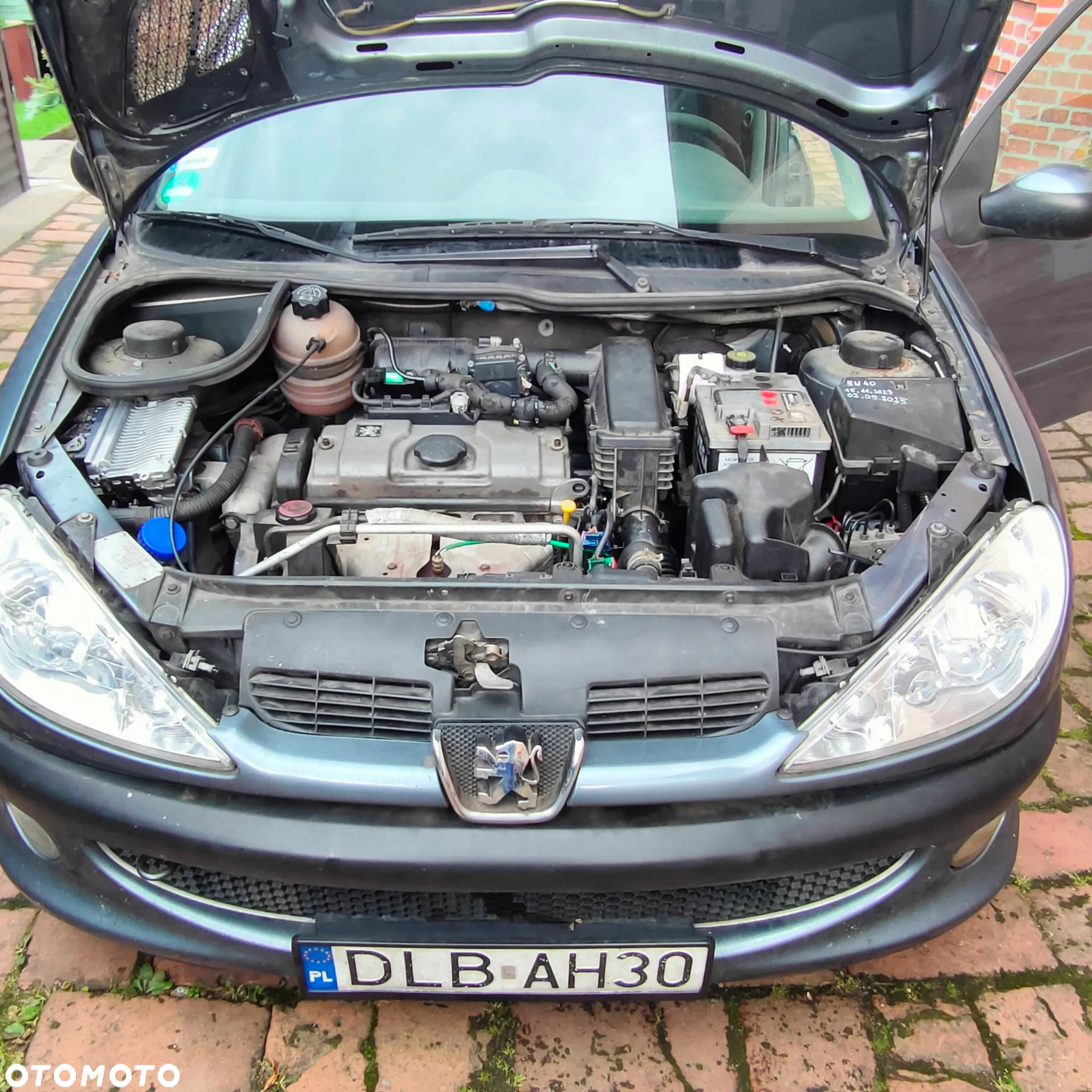 Peugeot 206 - 17
