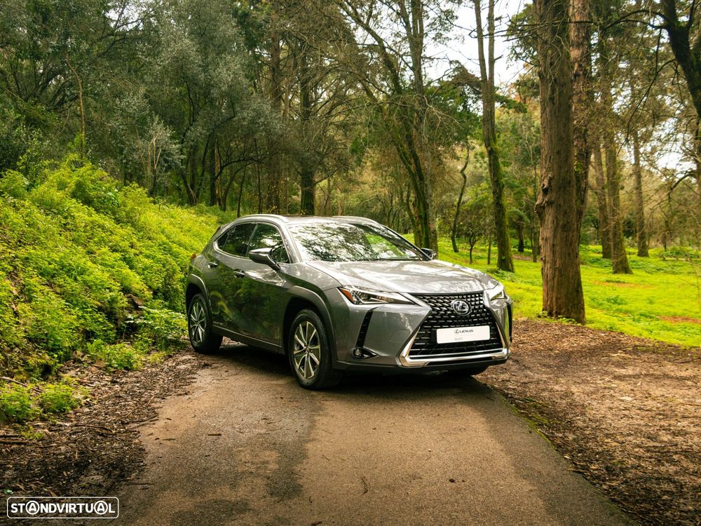 Lexus UX 300e Premium+TAE - 6