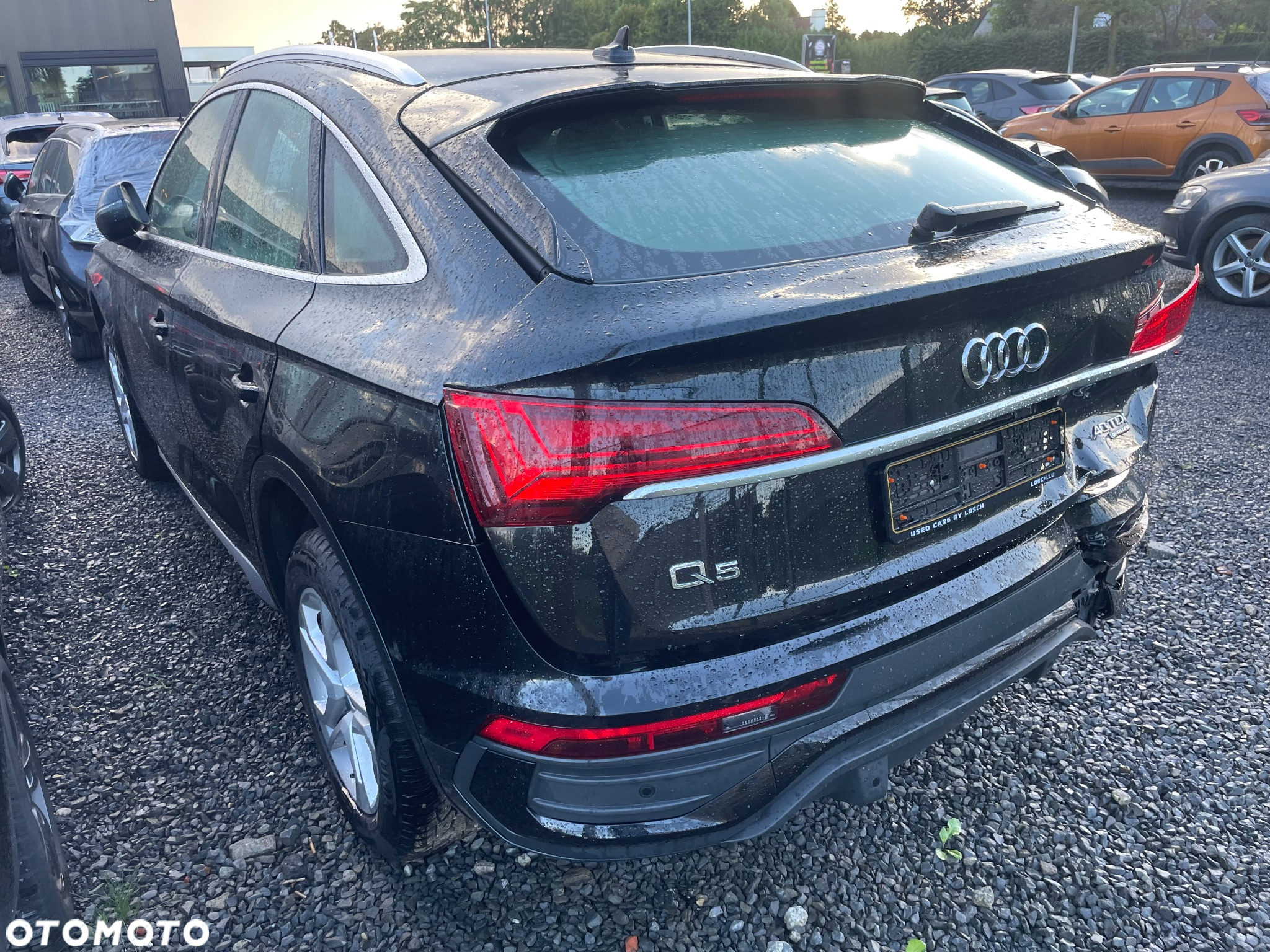Audi Q5 40 TDI quattro S tronic sport - 3
