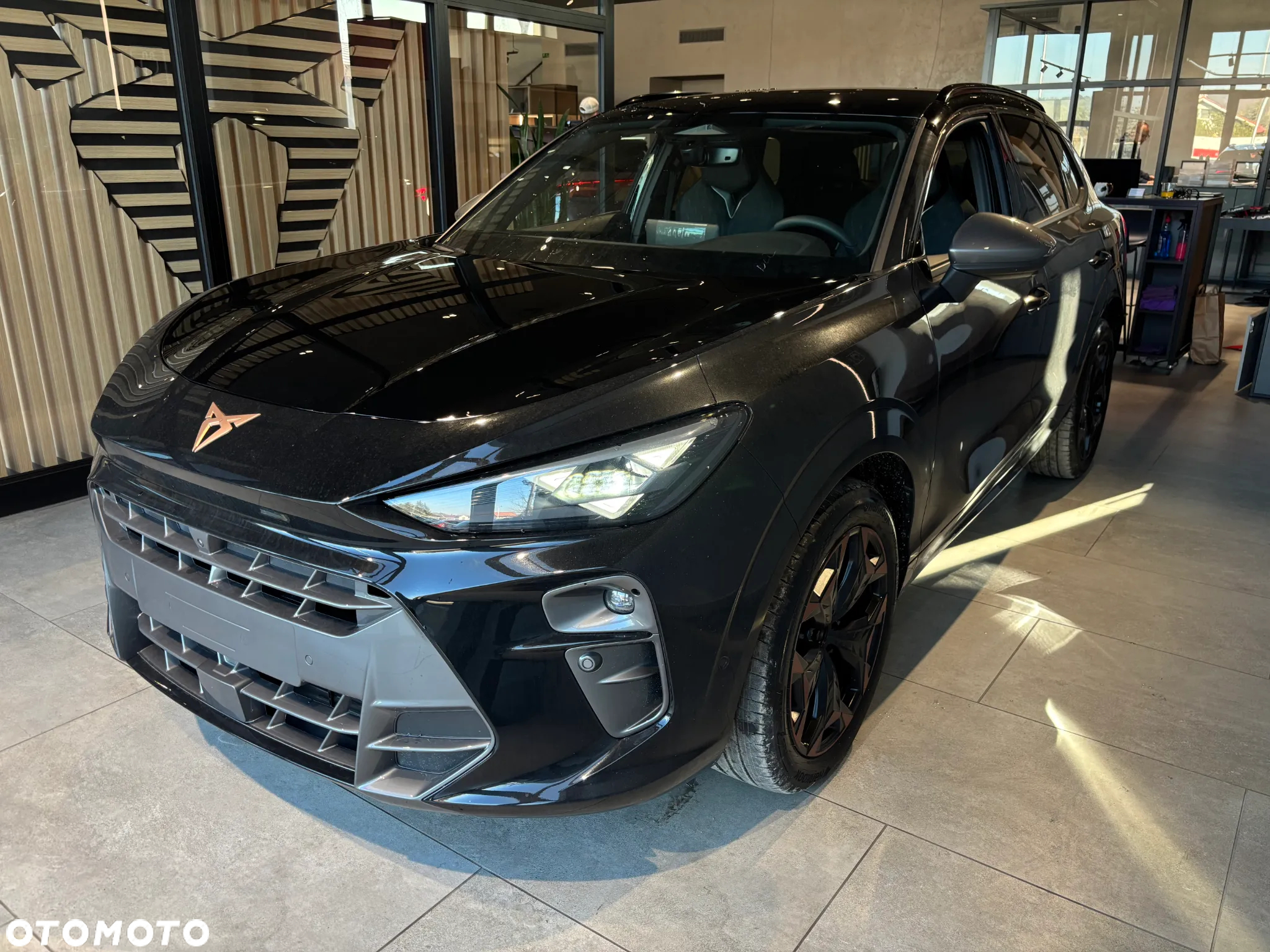 Cupra Terramar 2.0 TSI 4Drive DSG - 2