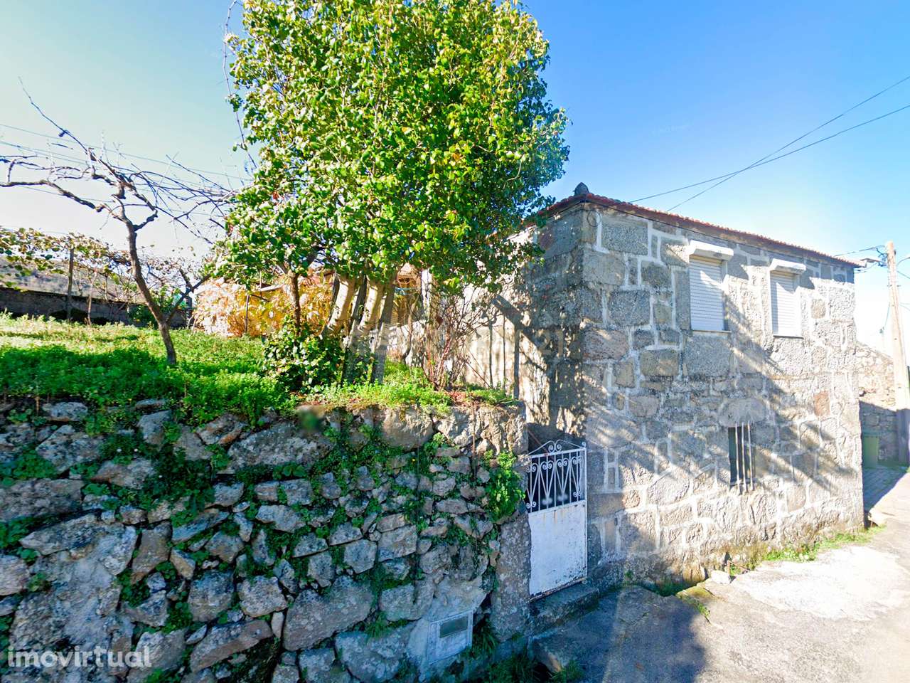 Casa Rústica em Pedra com quintal e arvores de fruta – Felgueiras, Re - Grande imagem: 3/15