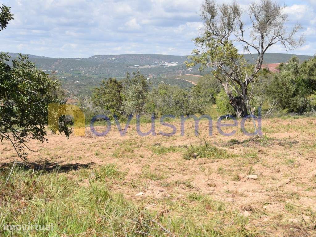 Terreno para construção 12 moradias, Paderne , Albufeira - Grande imagem: 5/30