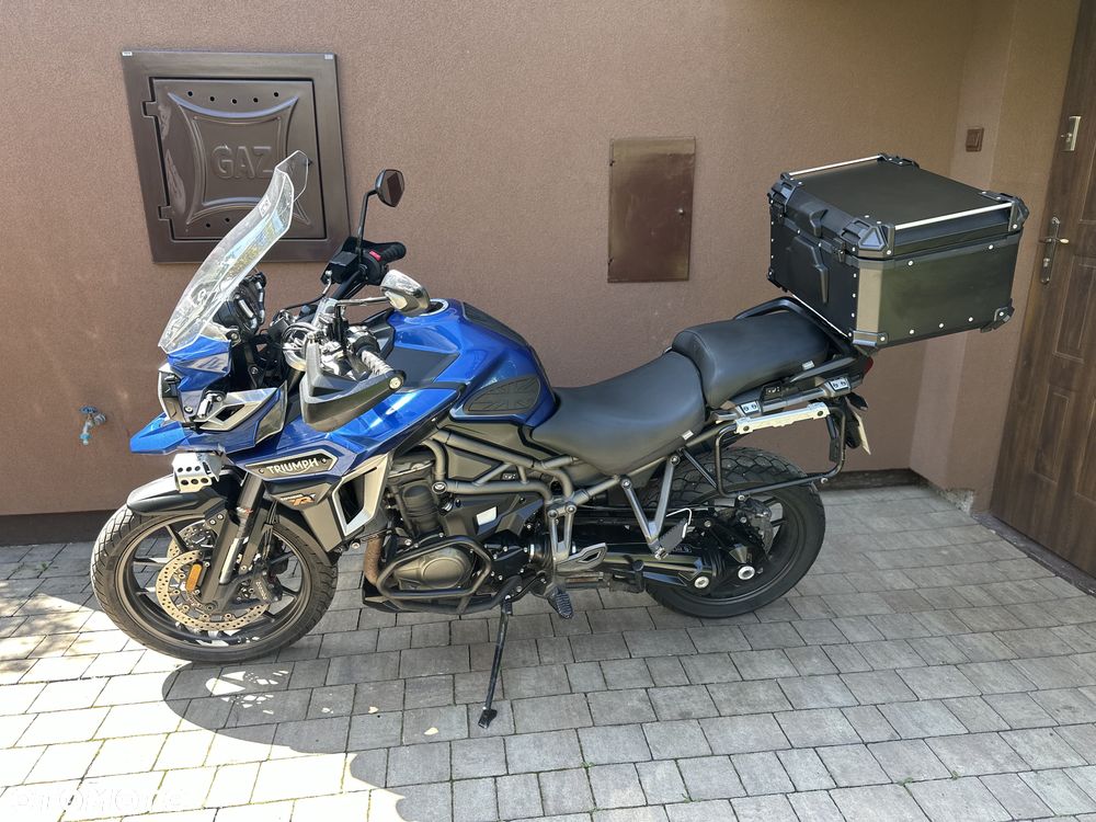 Triumph Tiger - 19