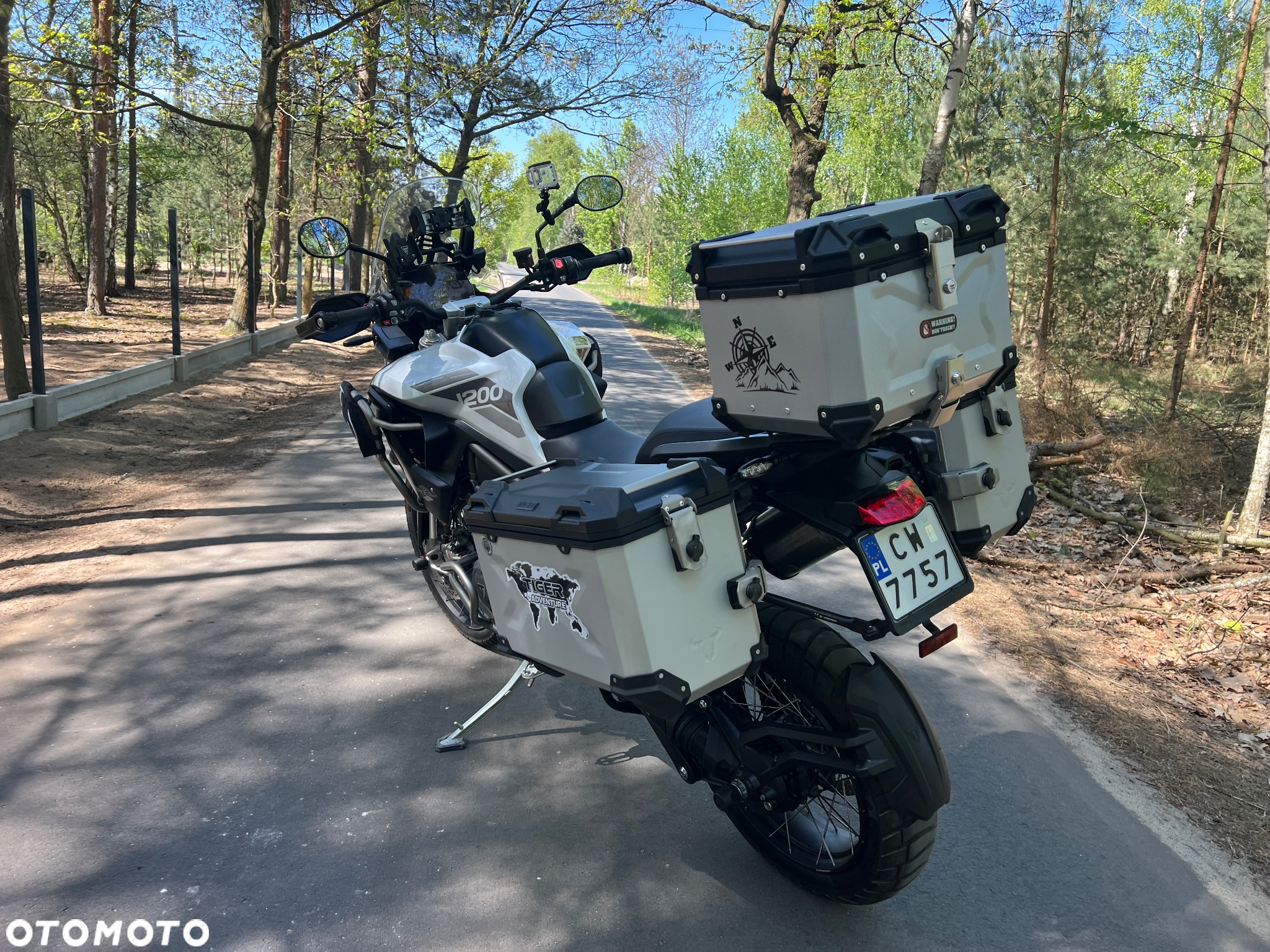 Triumph Tiger - 10
