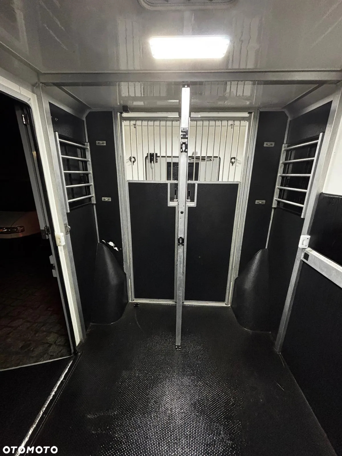 Opel MOVANO HORSEBOX - 14