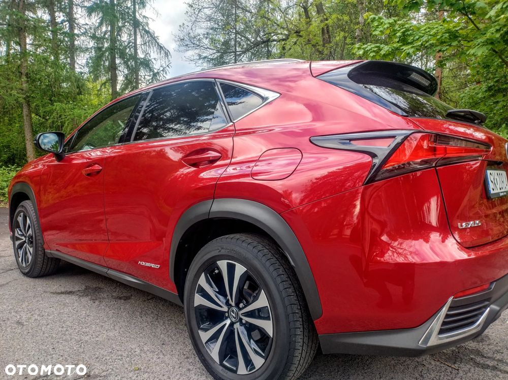 Lexus NX 300h F Impression AWD - 12
