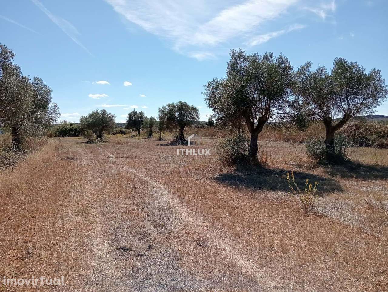 Refúgio Rural com Água Natural – 1,15 ha de Potencial - Grande imagem: 3/8