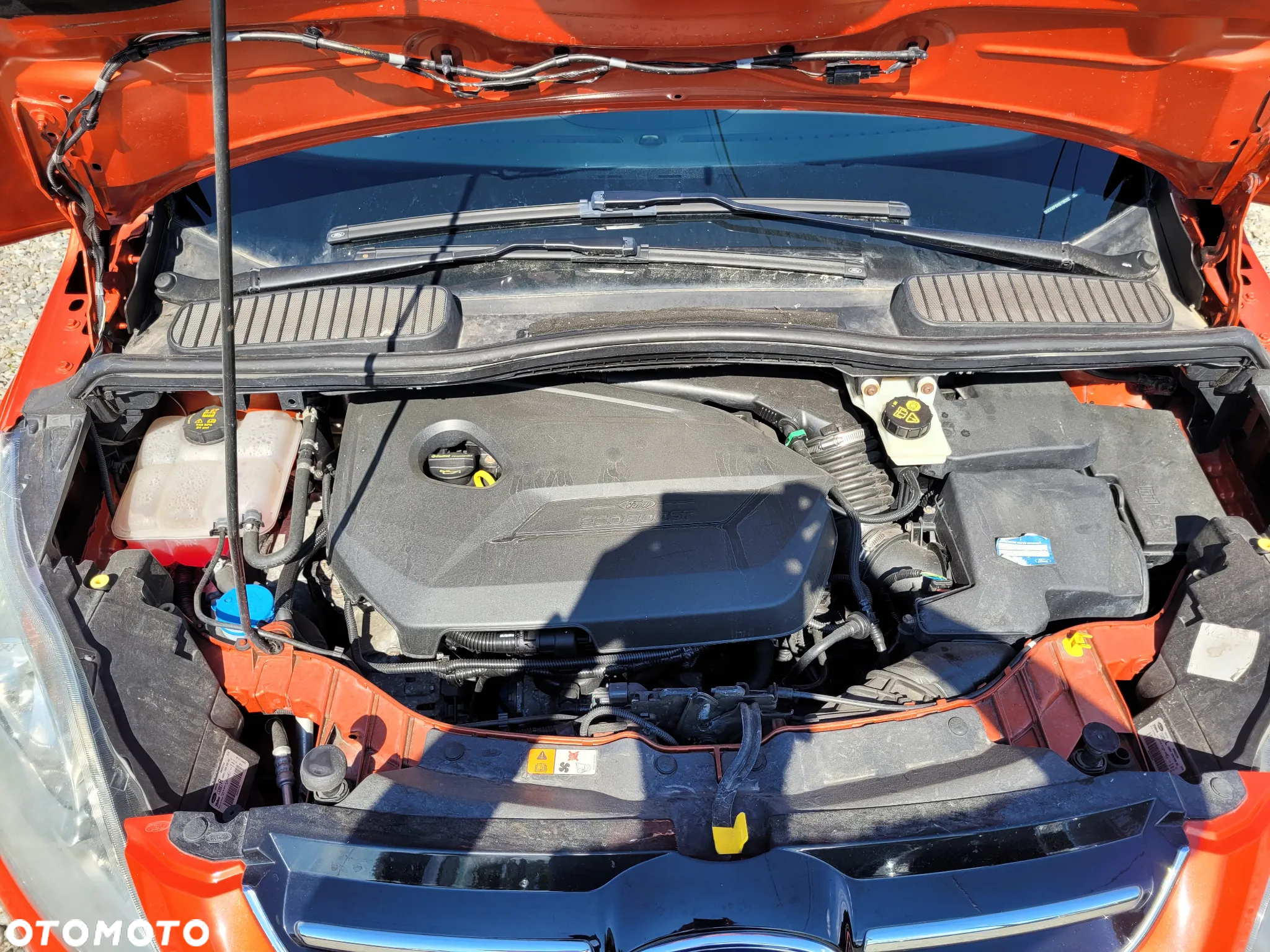 Ford Grand C-MAX 1.6 EcoBoost Start-Stop-System Champions Edition - 15