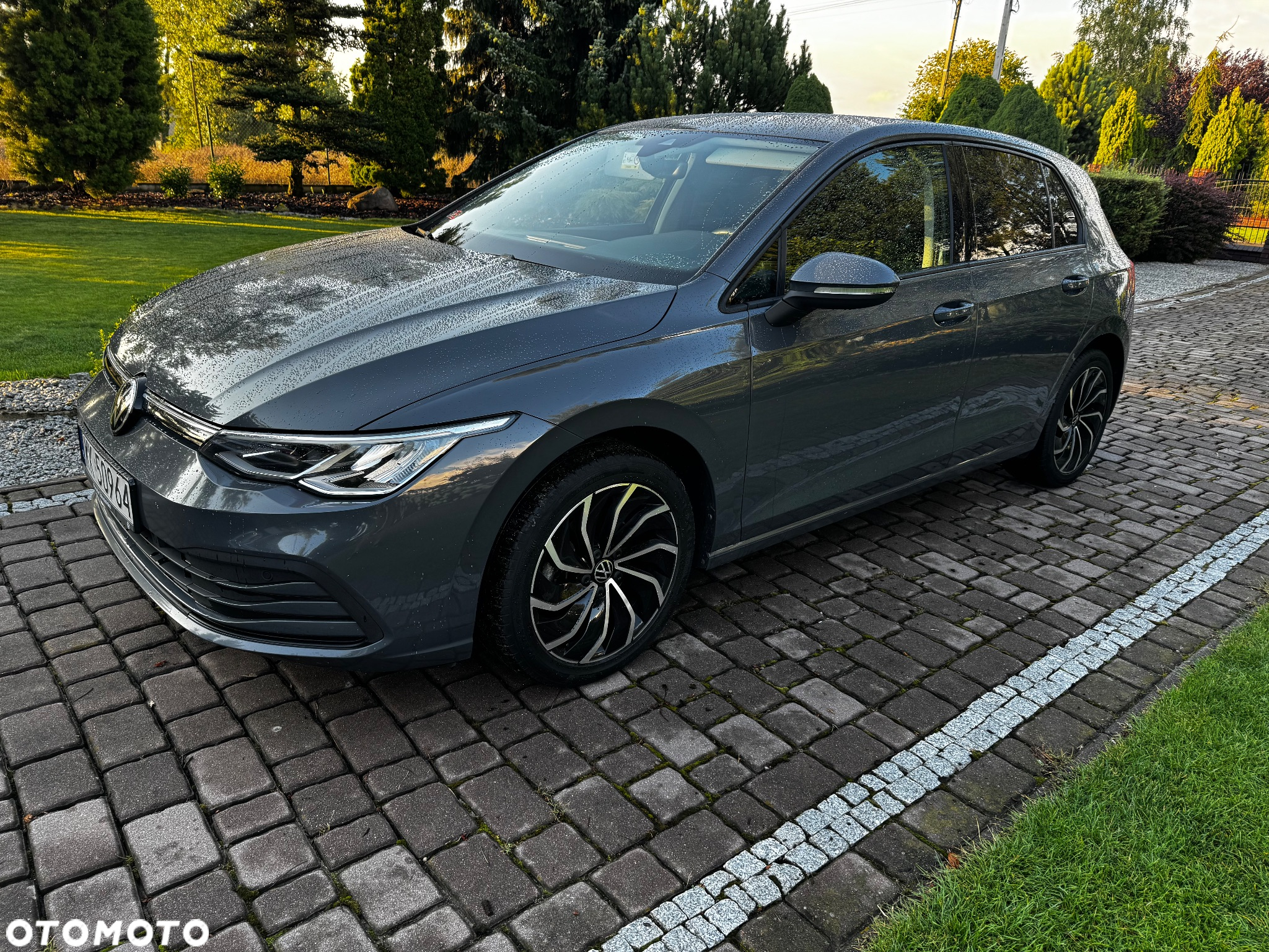 Volkswagen Golf VIII 1.0 TSI Life - 2