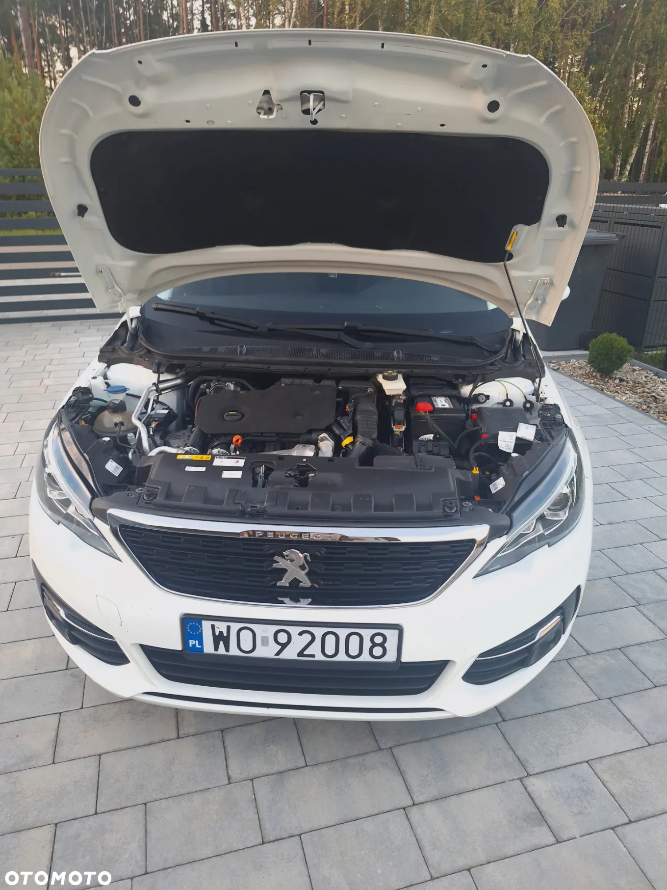 Peugeot 308 1.5 BlueHDi Allure S&S - 8