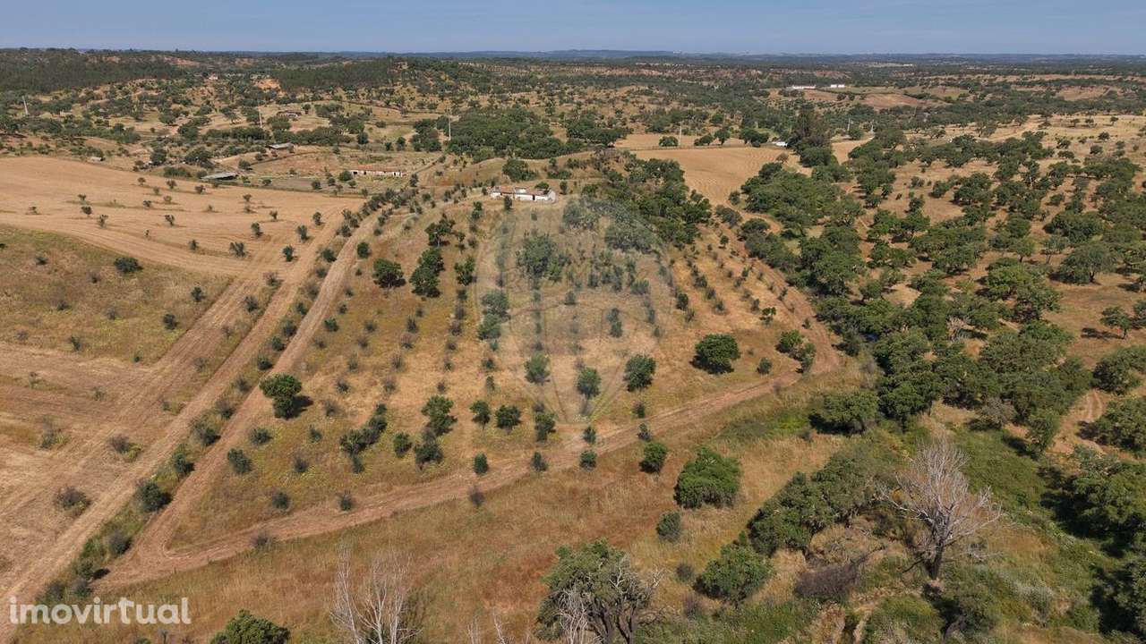 Quinta  para venda - Grande imagem: 3/20