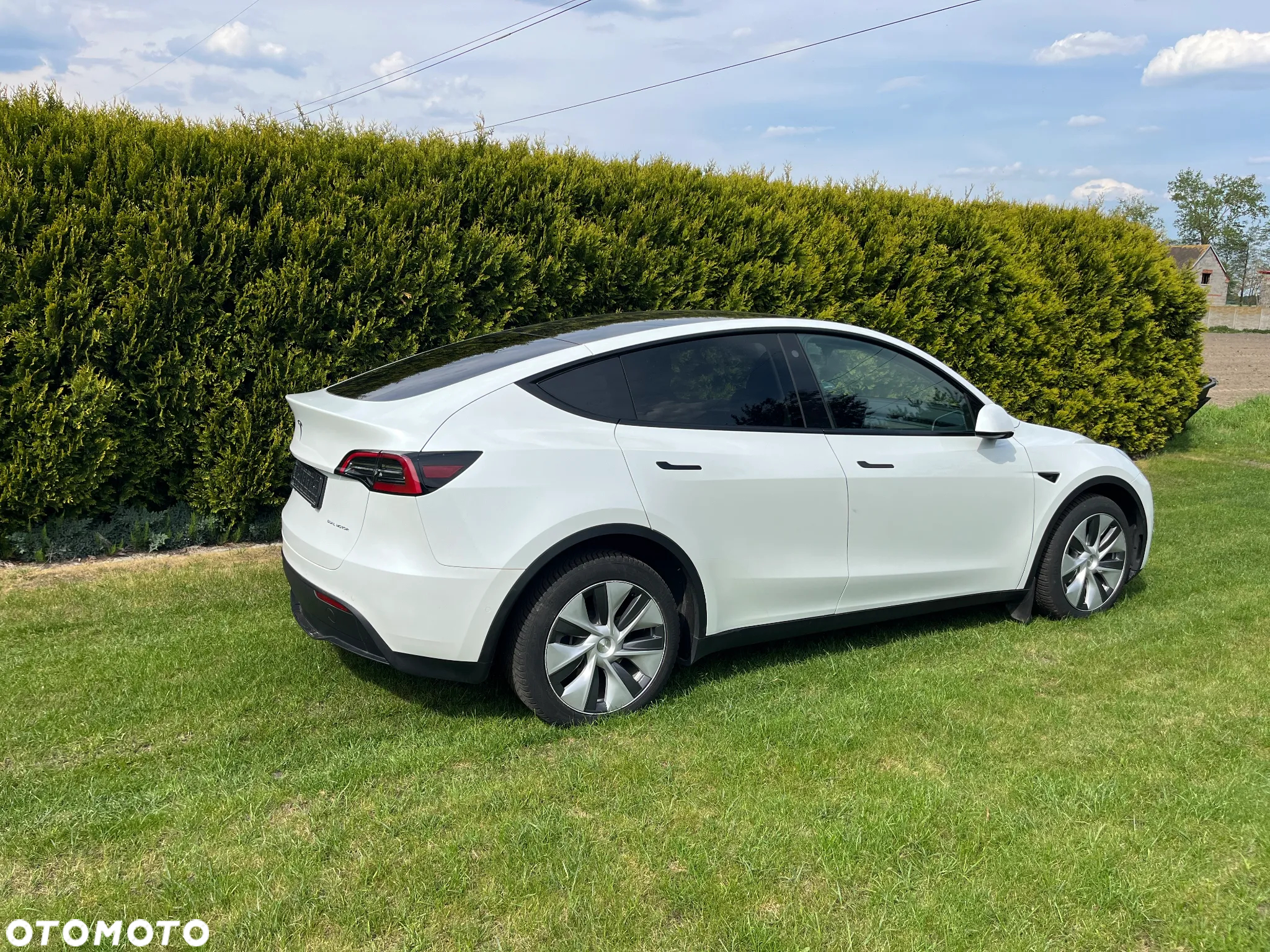 Tesla Y - 7