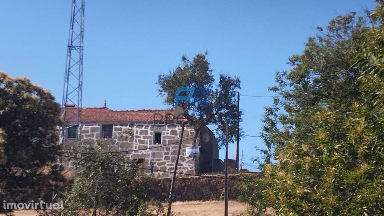 Casa de Campo - Grande imagem: 4/39
