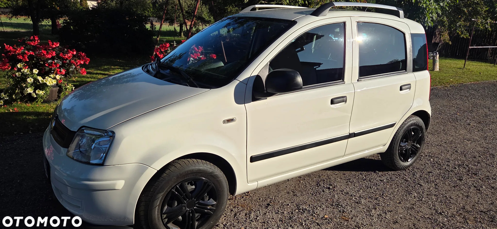 Fiat Panda 1.2 Dynamic - 10