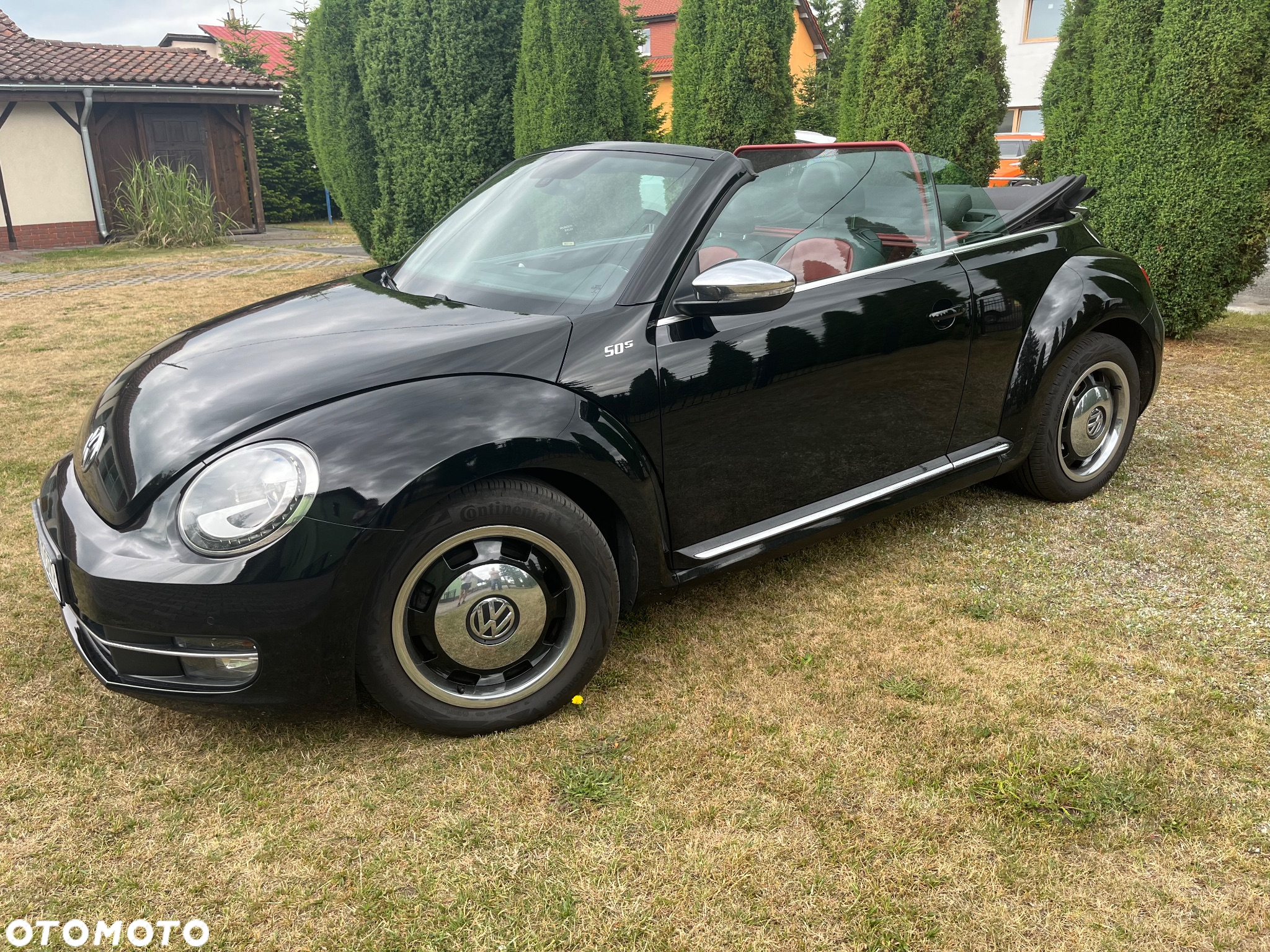 Volkswagen Beetle - 16
