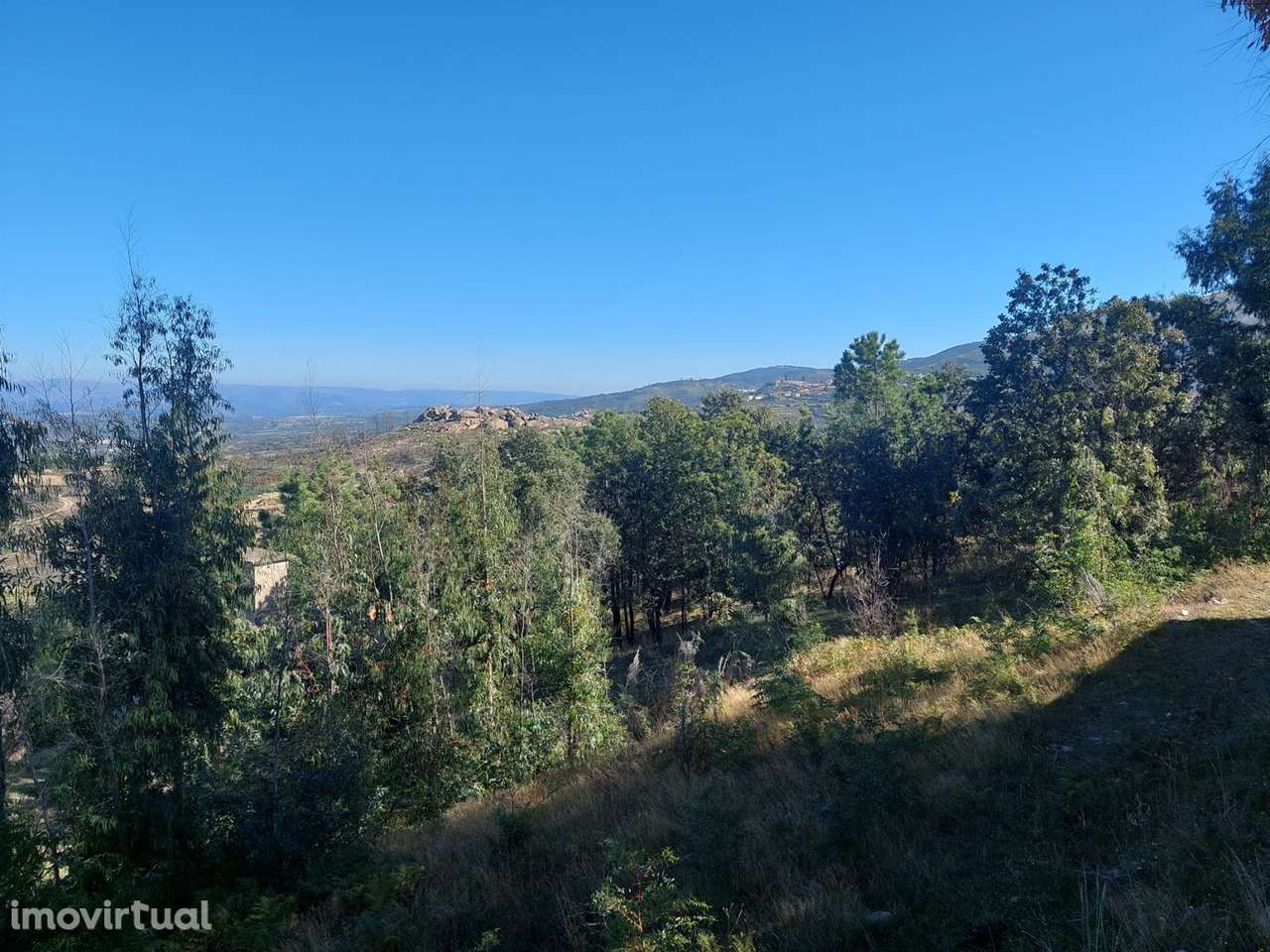 Quinta  Venda em Figueiró da Serra e Freixo da Serra,Gouveia - Grande imagem: 3/16