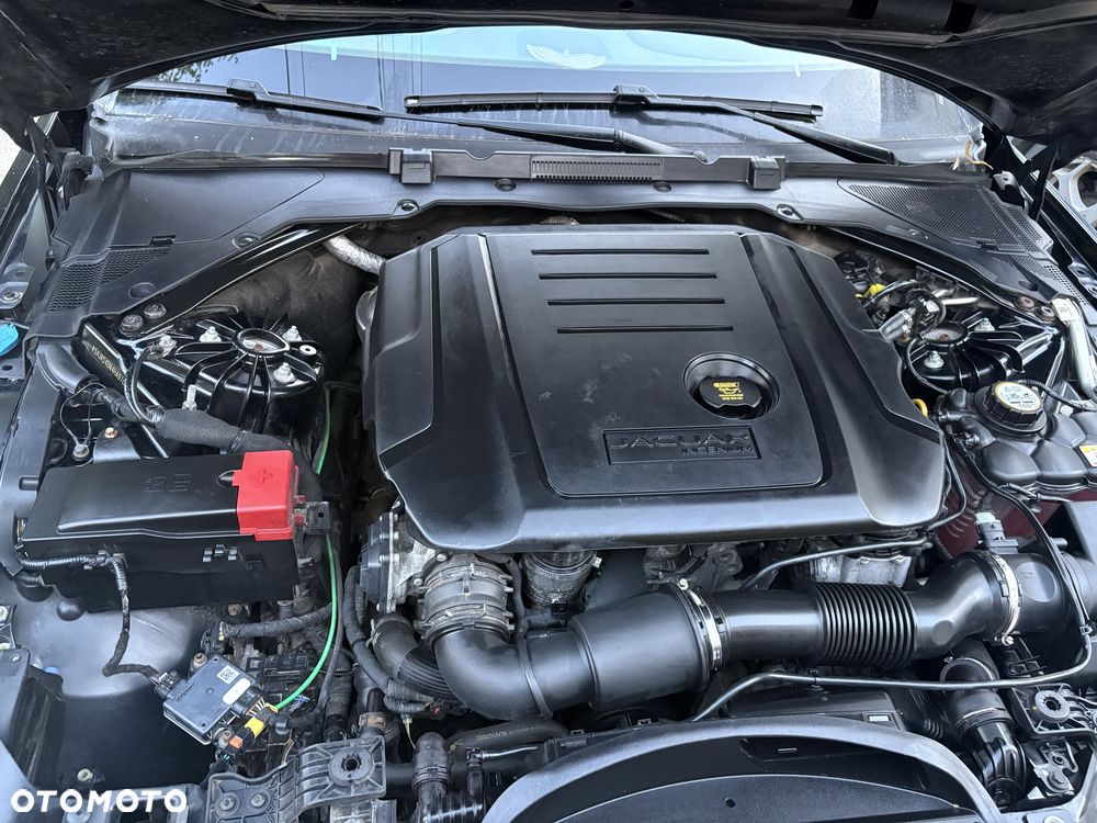 Jaguar XE - 7