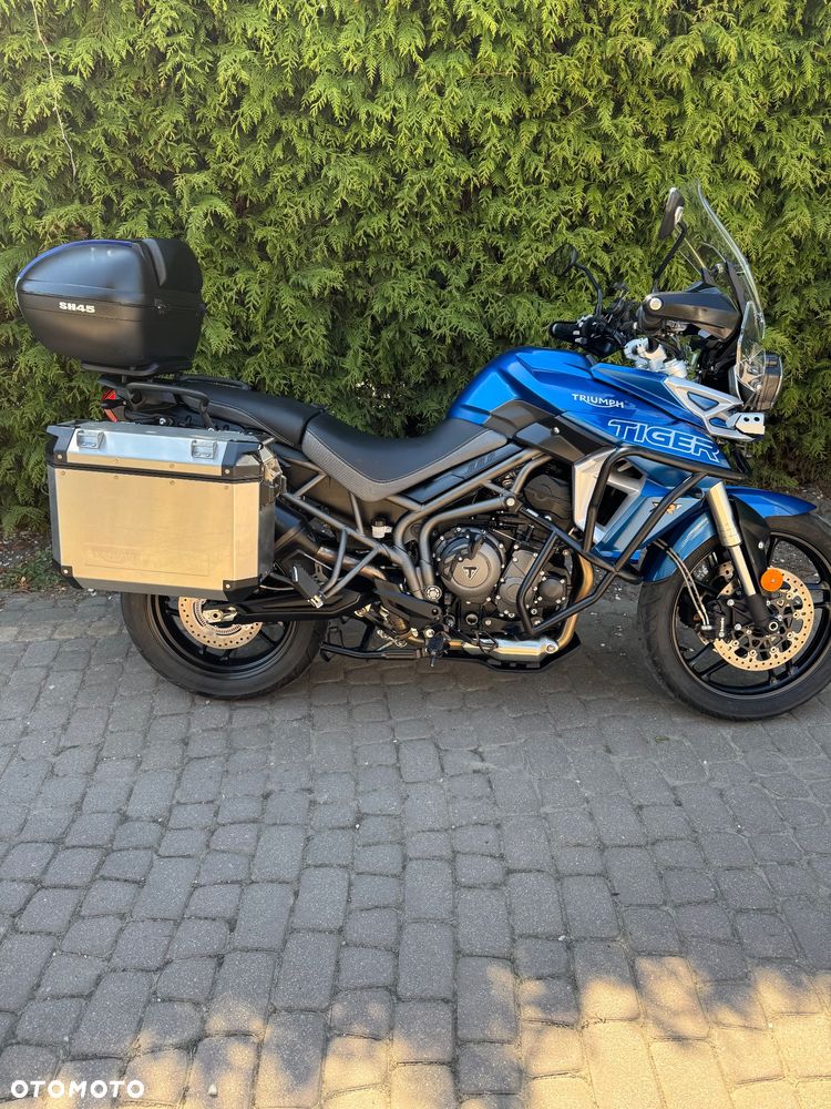 Triumph Tiger - 1