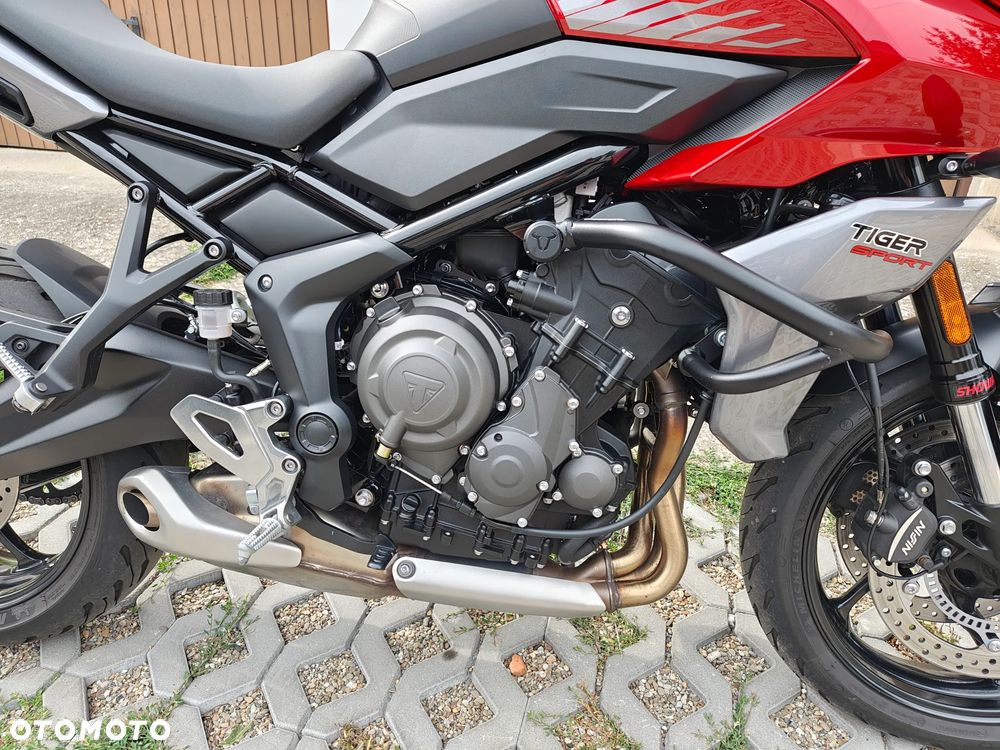 Triumph Tiger - 18
