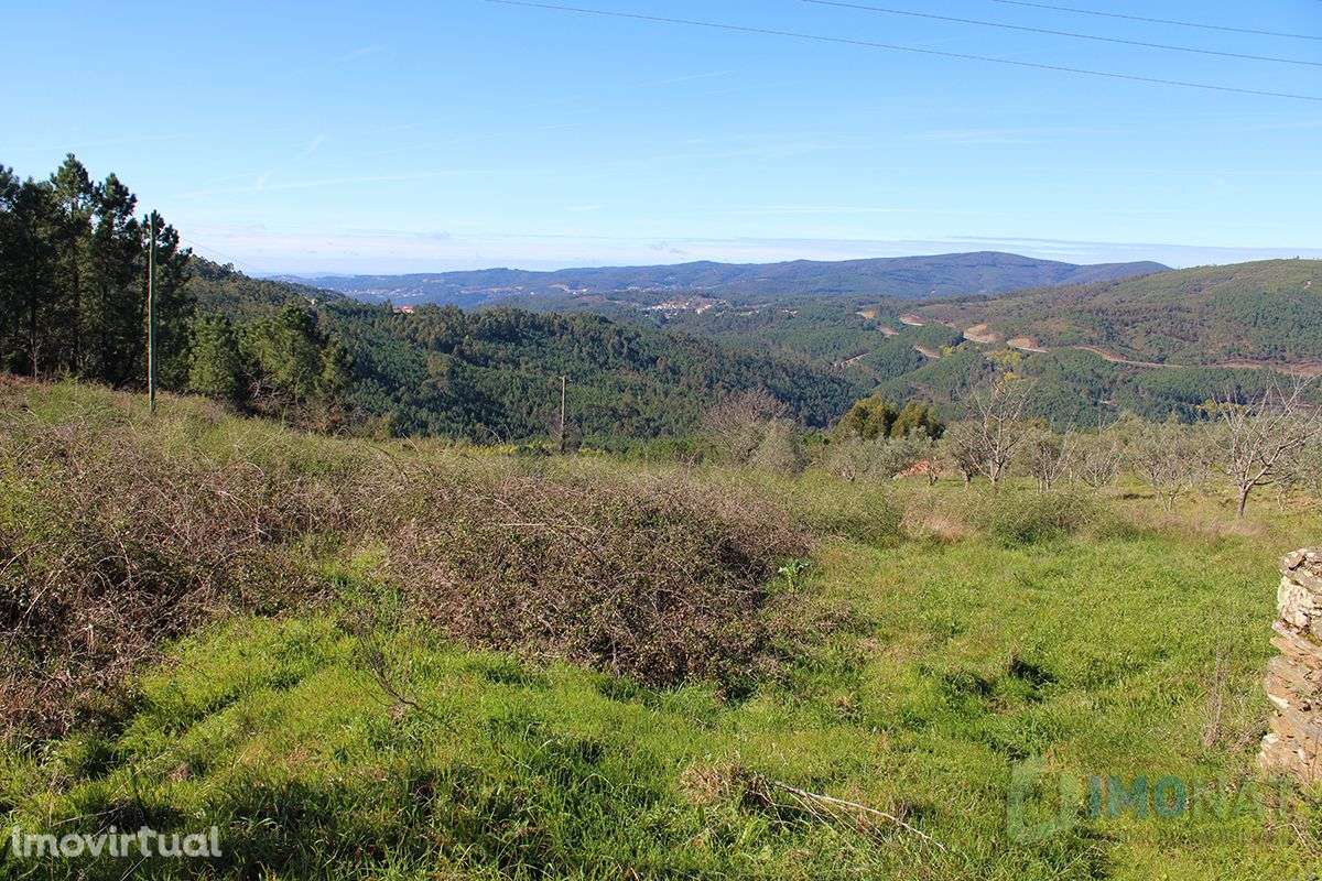 Imóvel Rural - Grande imagem: 3/21