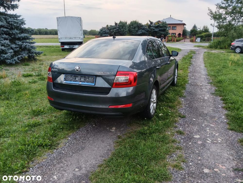 Skoda Octavia - 5
