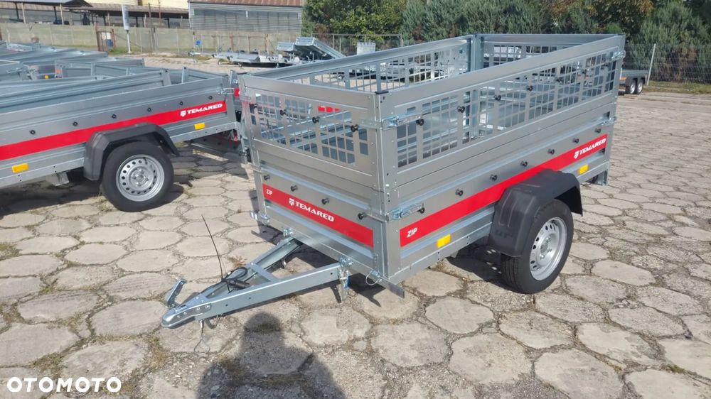 TEMARED ZIP 2010 KIPP - 31