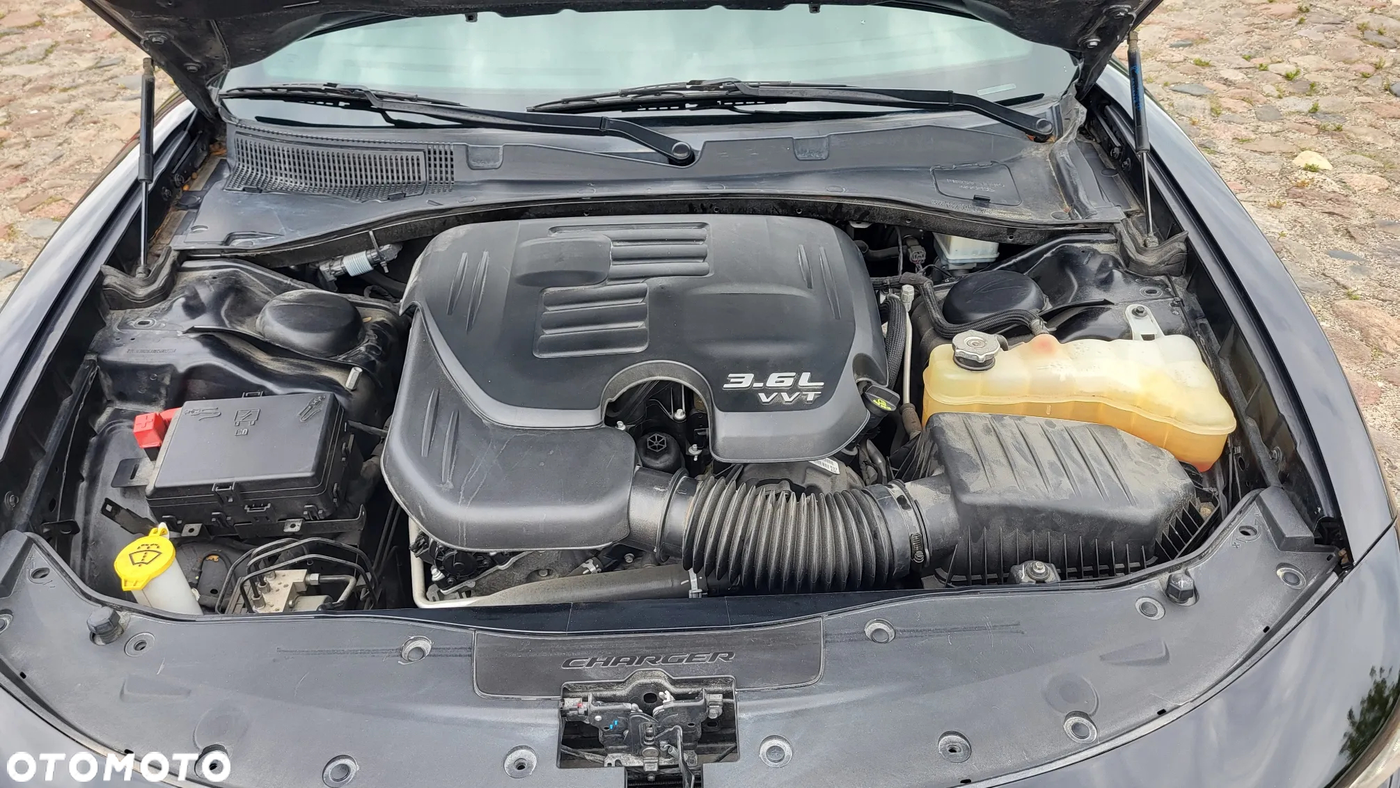 Dodge Charger - 20