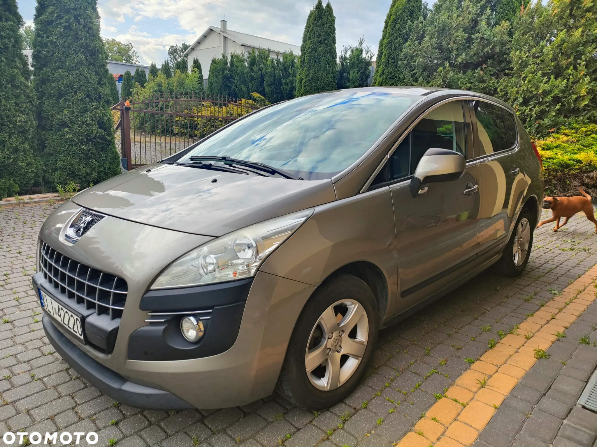 Peugeot 3008 - 2